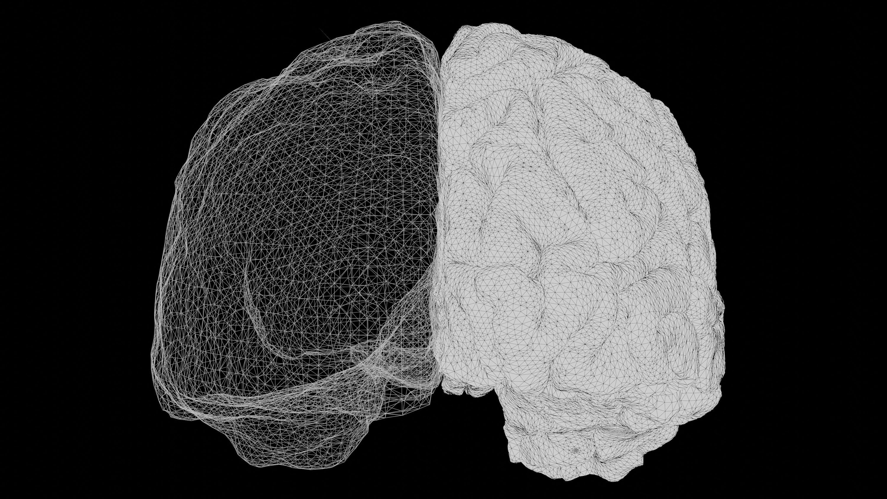 3000x1688 Brain Map Picture. Download Free Image