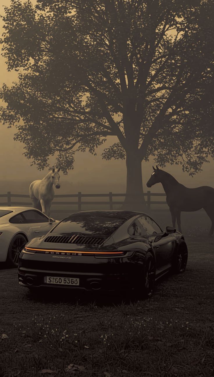 736x1294 Porsche