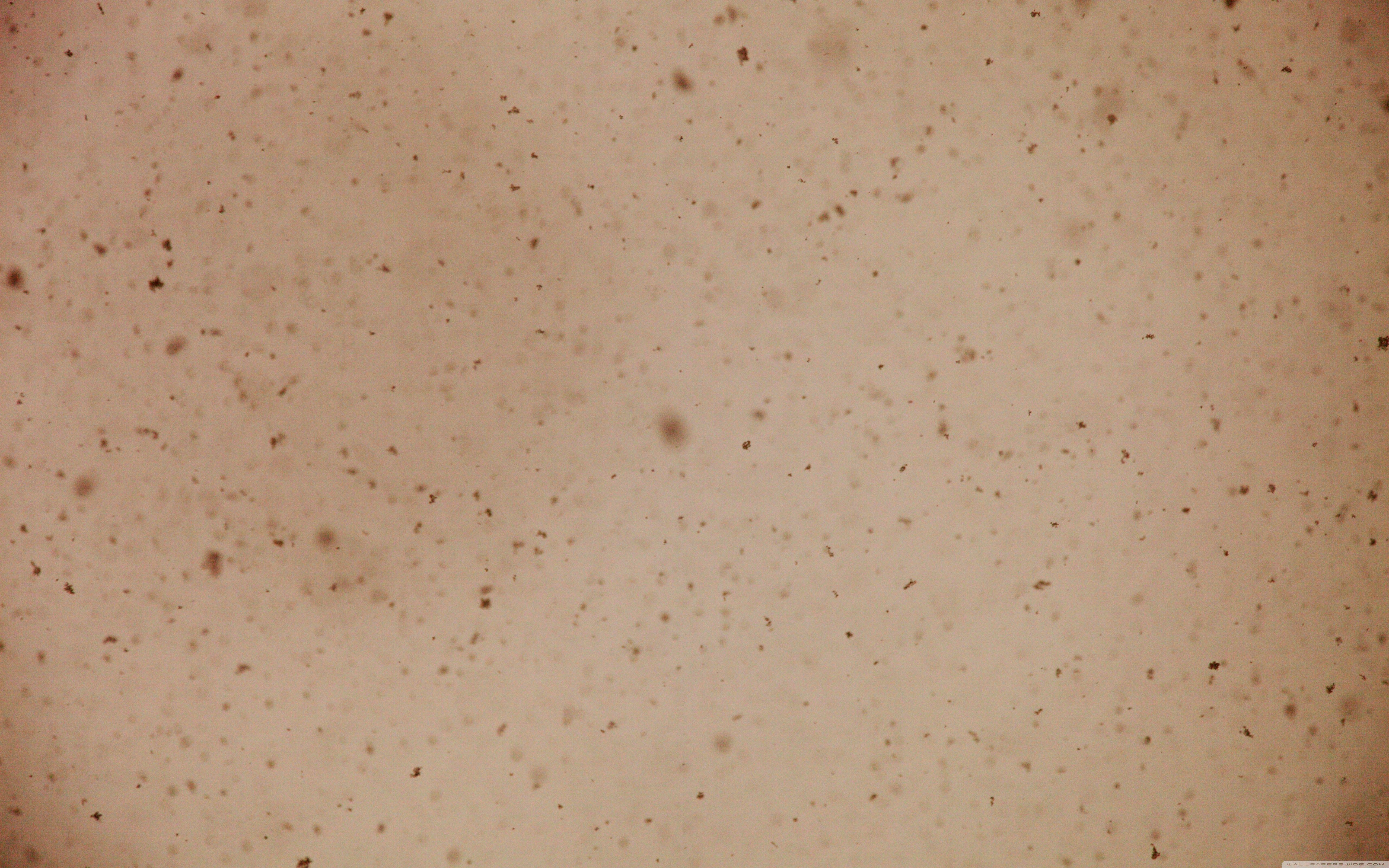 5120x3200 Snowflakes Sepia Ultra HD Desktop Background Wallpaper for 4K UHD TV : Tablet