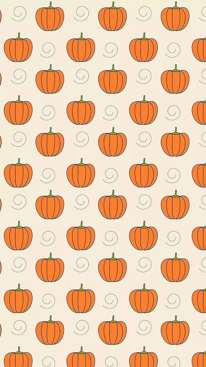 720x1280 Pumpkin Wallpaper by ZEDGE™