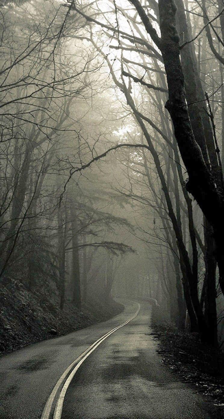 744x1392 Creepy Phone Wallpaper