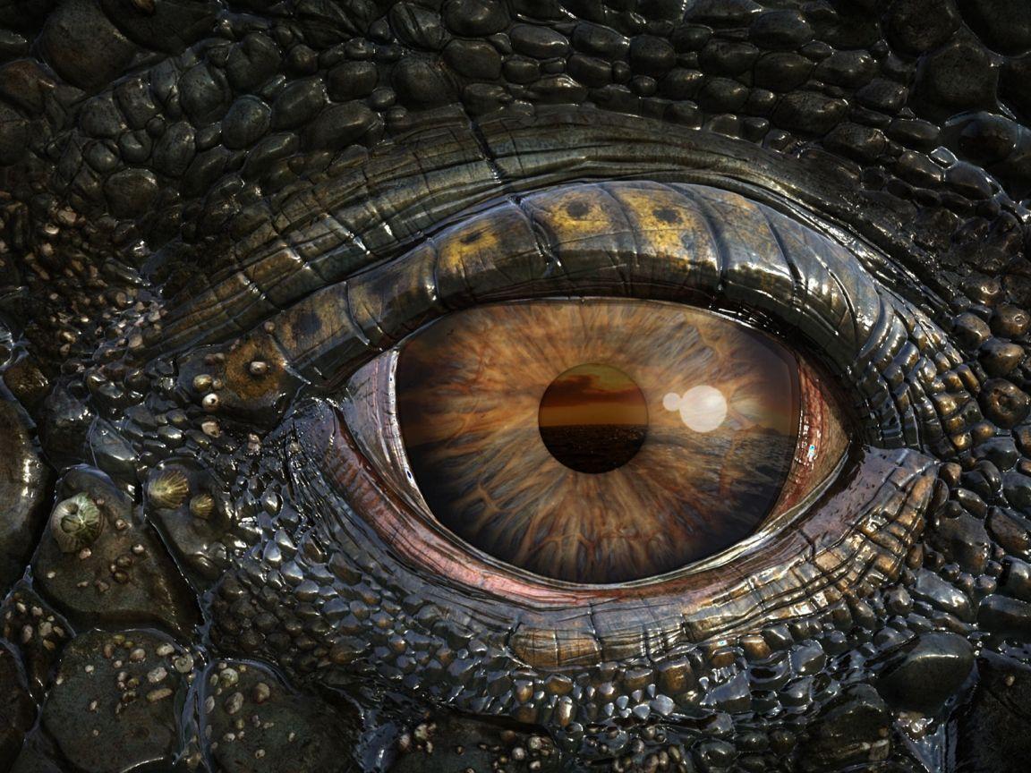 1152x864 Mosasaur Eye HD Wallpaper