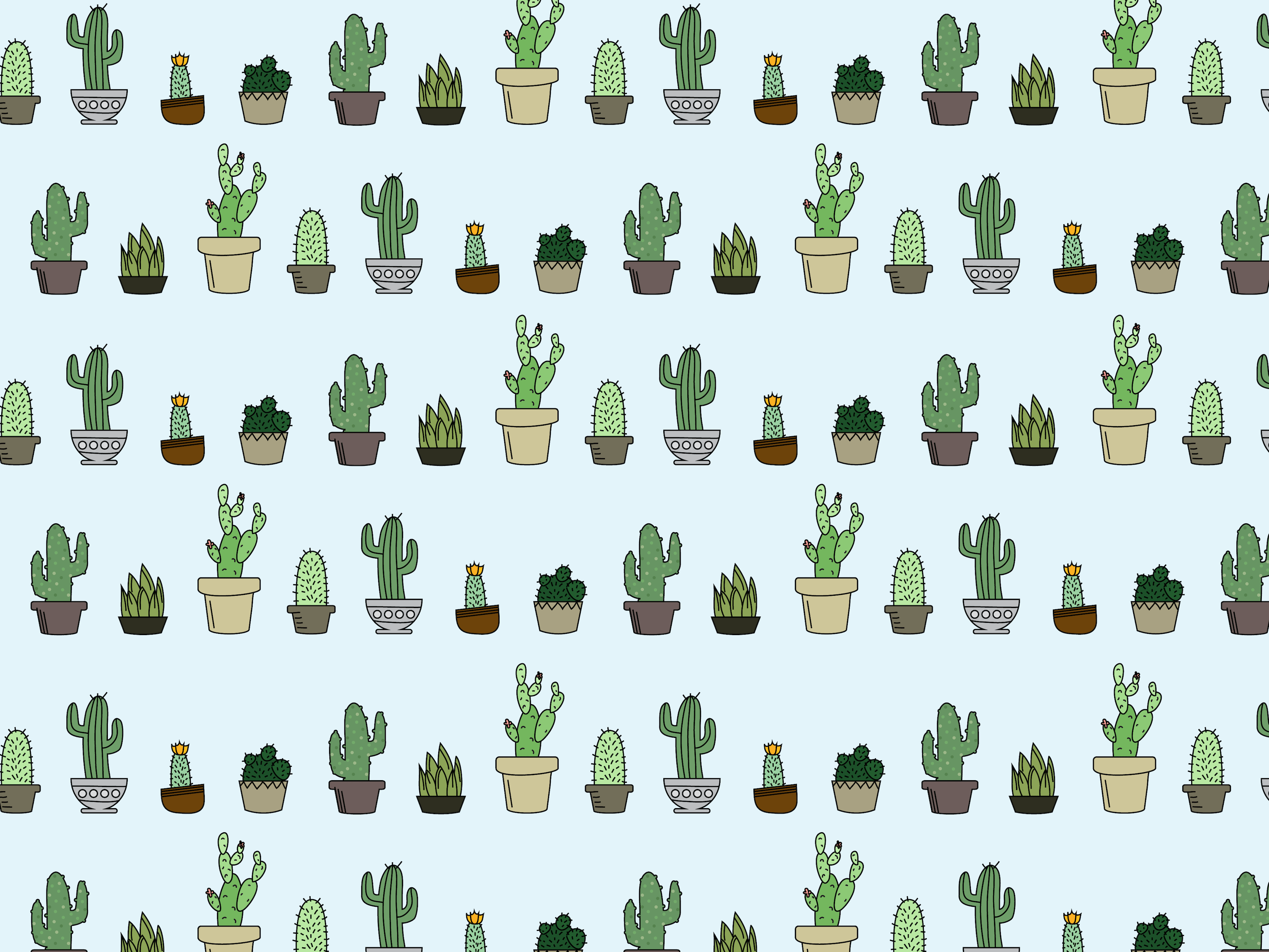 3000x2250 Aesthetic Cactus Wallpaper