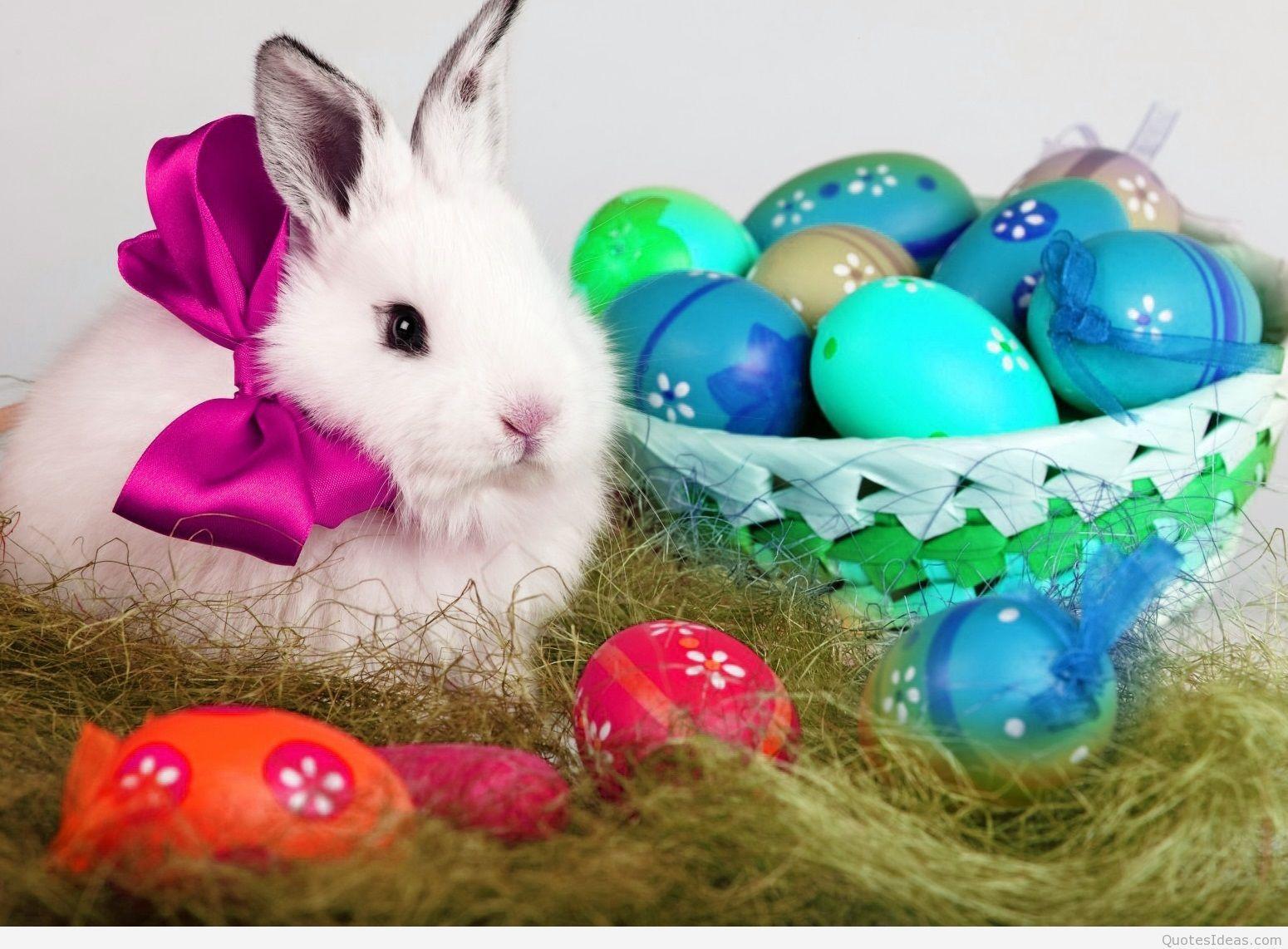 1550x1142 Happy Easter bunny hình nền và dấu ngoặc kép