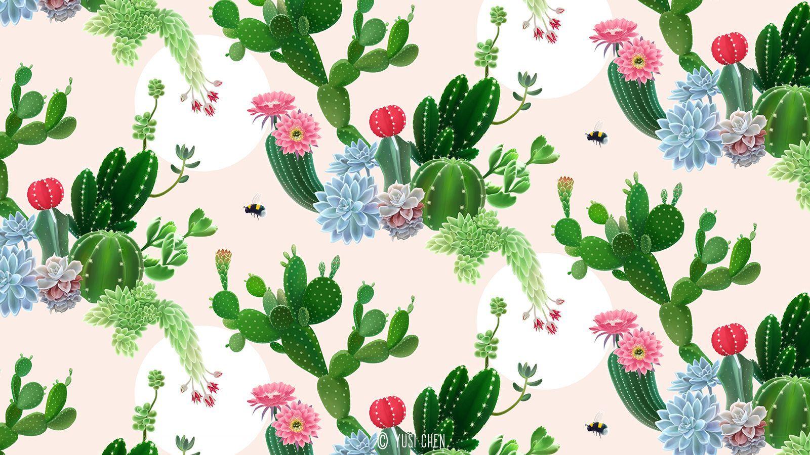 1600x900 Cactus Desktop Wallpaper