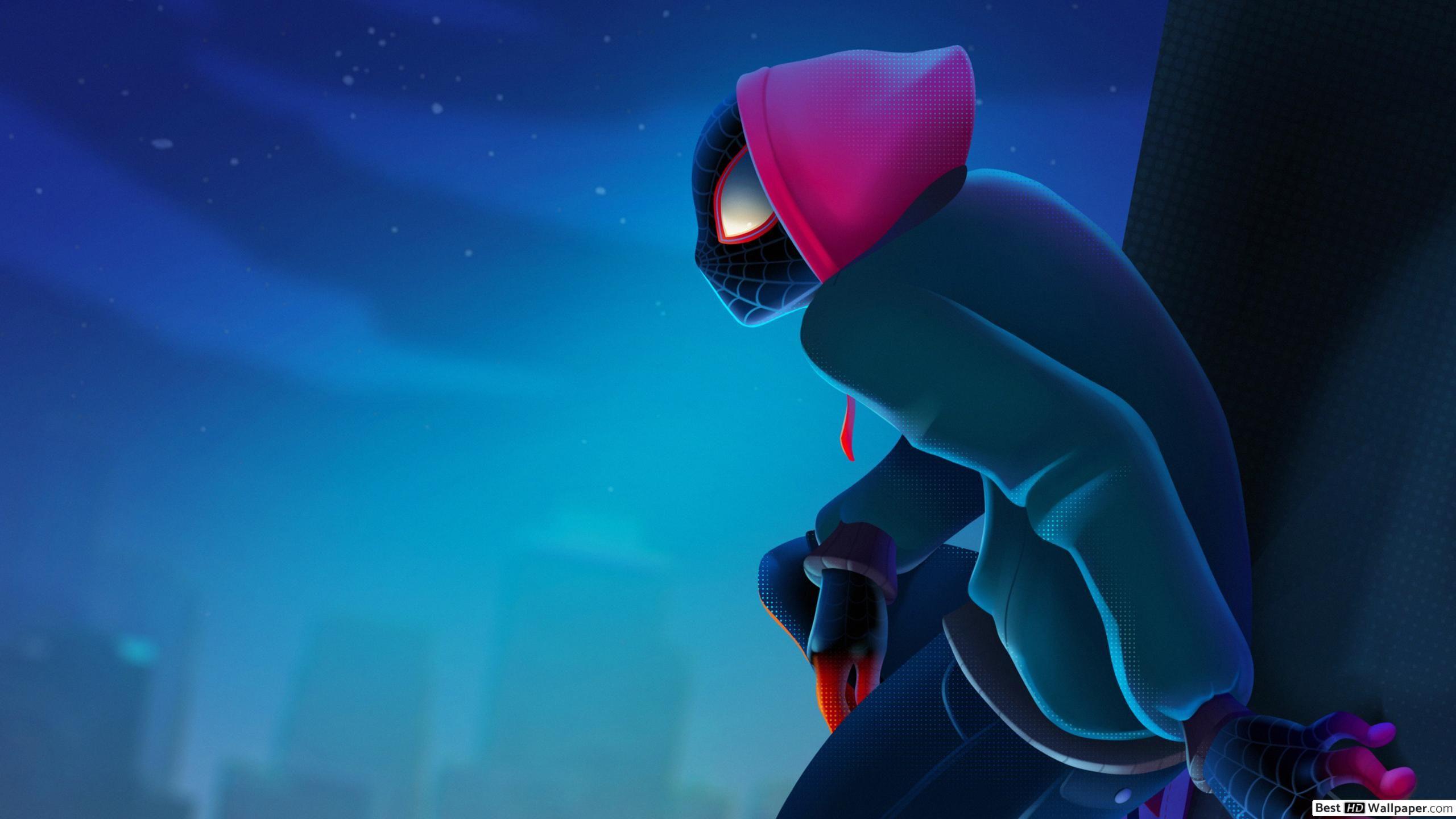2560x1440 Spider Man: Into The Spider Verse Movie Morales HD Wallpaper Download