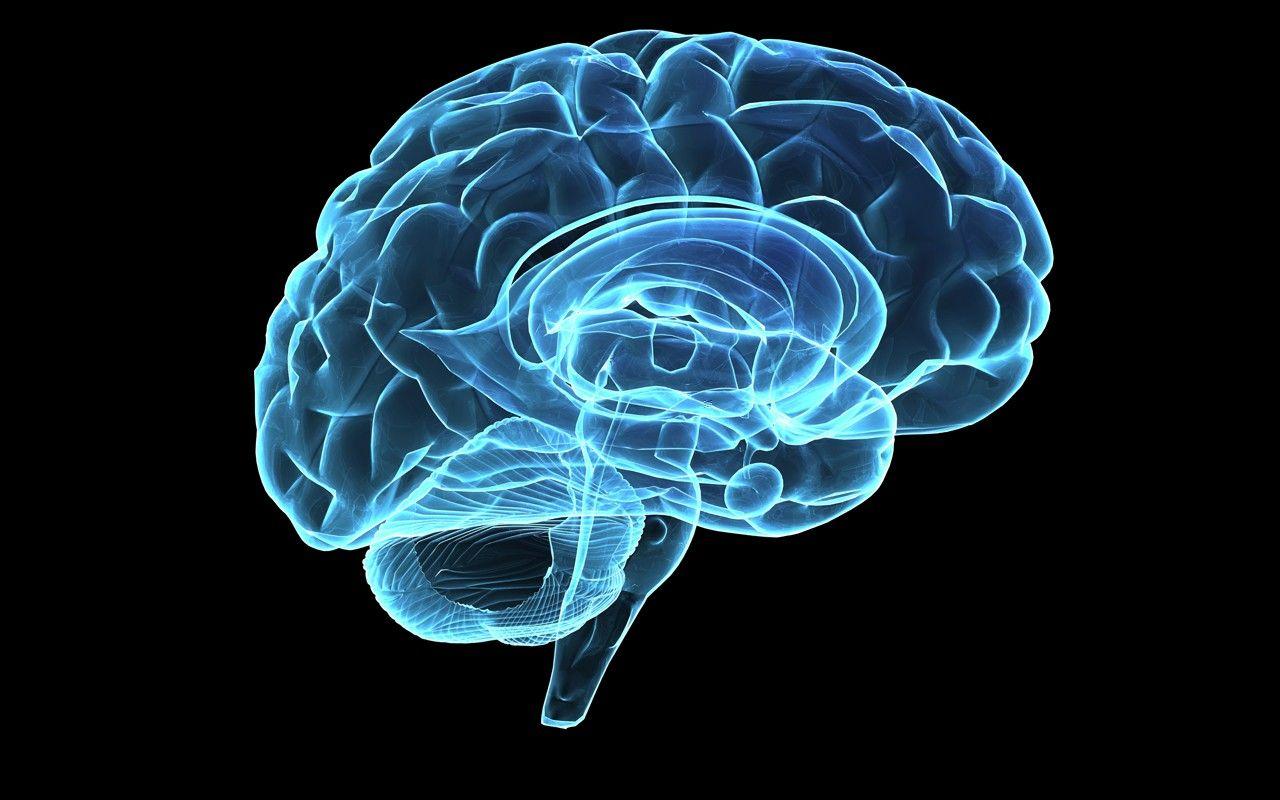 1280x800 Brain Hologram Desktop Wallpaper Uploaded By Fardad Disorder Wallpaper & Background Download