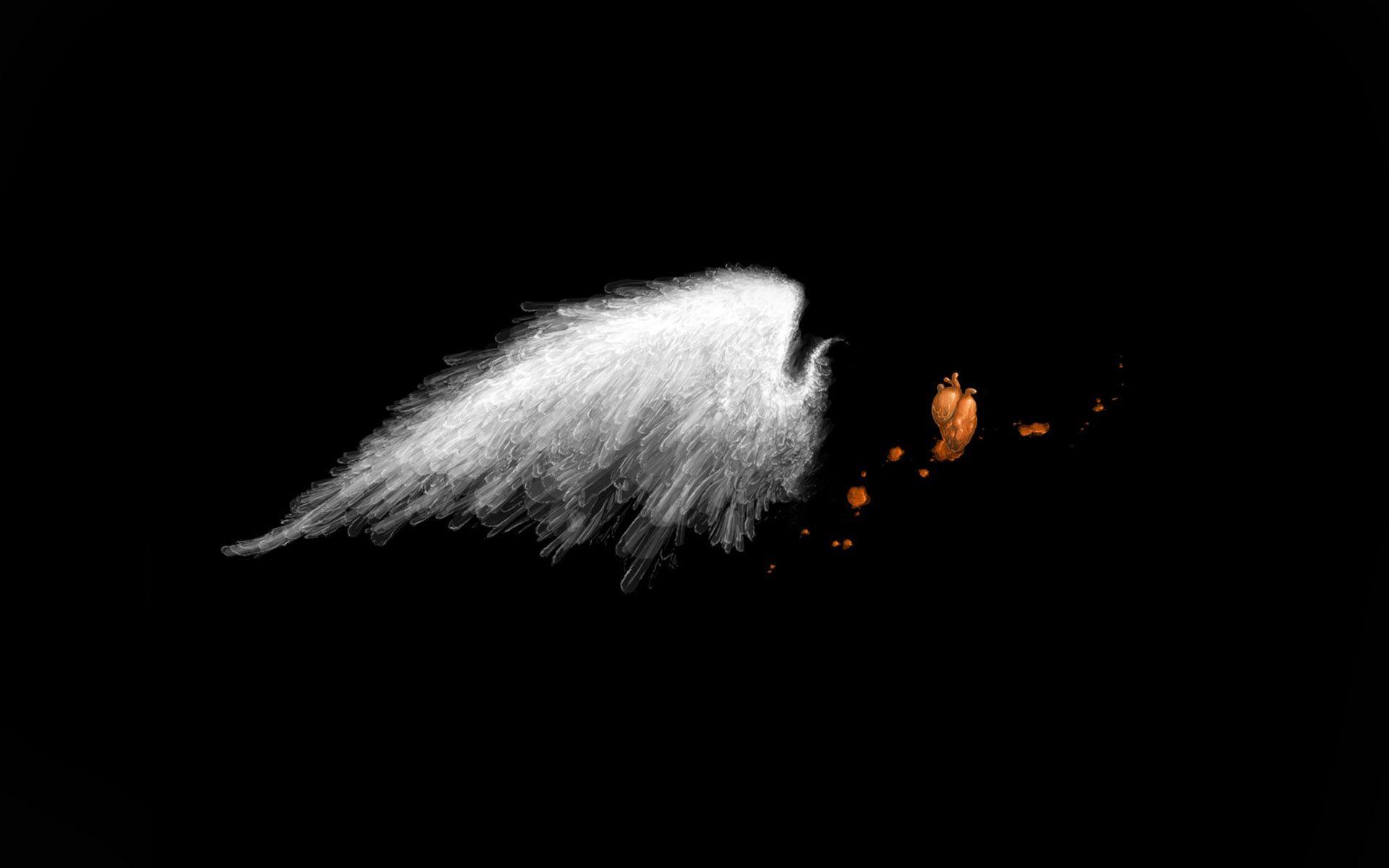 1920x1200 Angel Wings Background