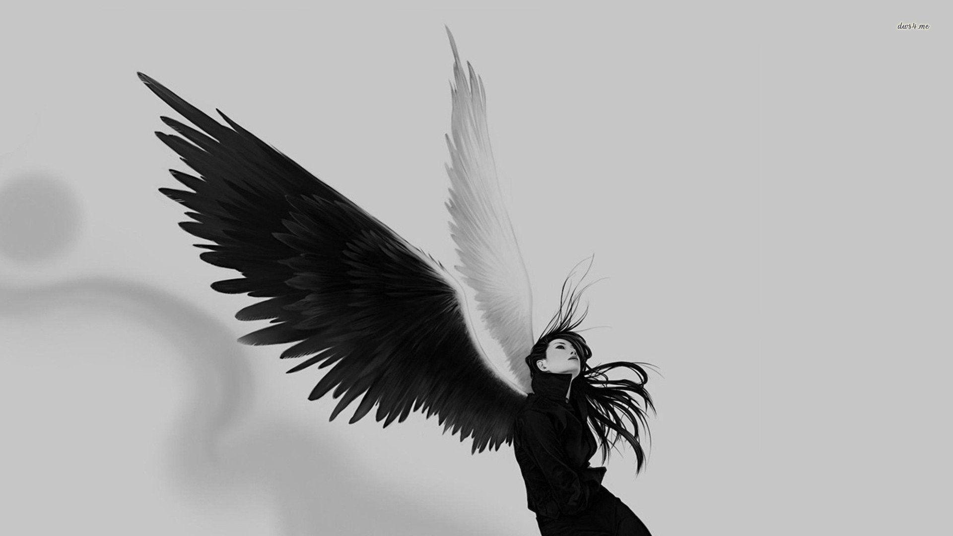 1920x1080 Free download Wallpaper Angel Wings - [1920x1080] for your Desktop, Mobile & Tablet. Explore Wing Wallpaper. Wing Wallpaper, Gundam Wing Wallpaper, Red Wing Wallpaper
