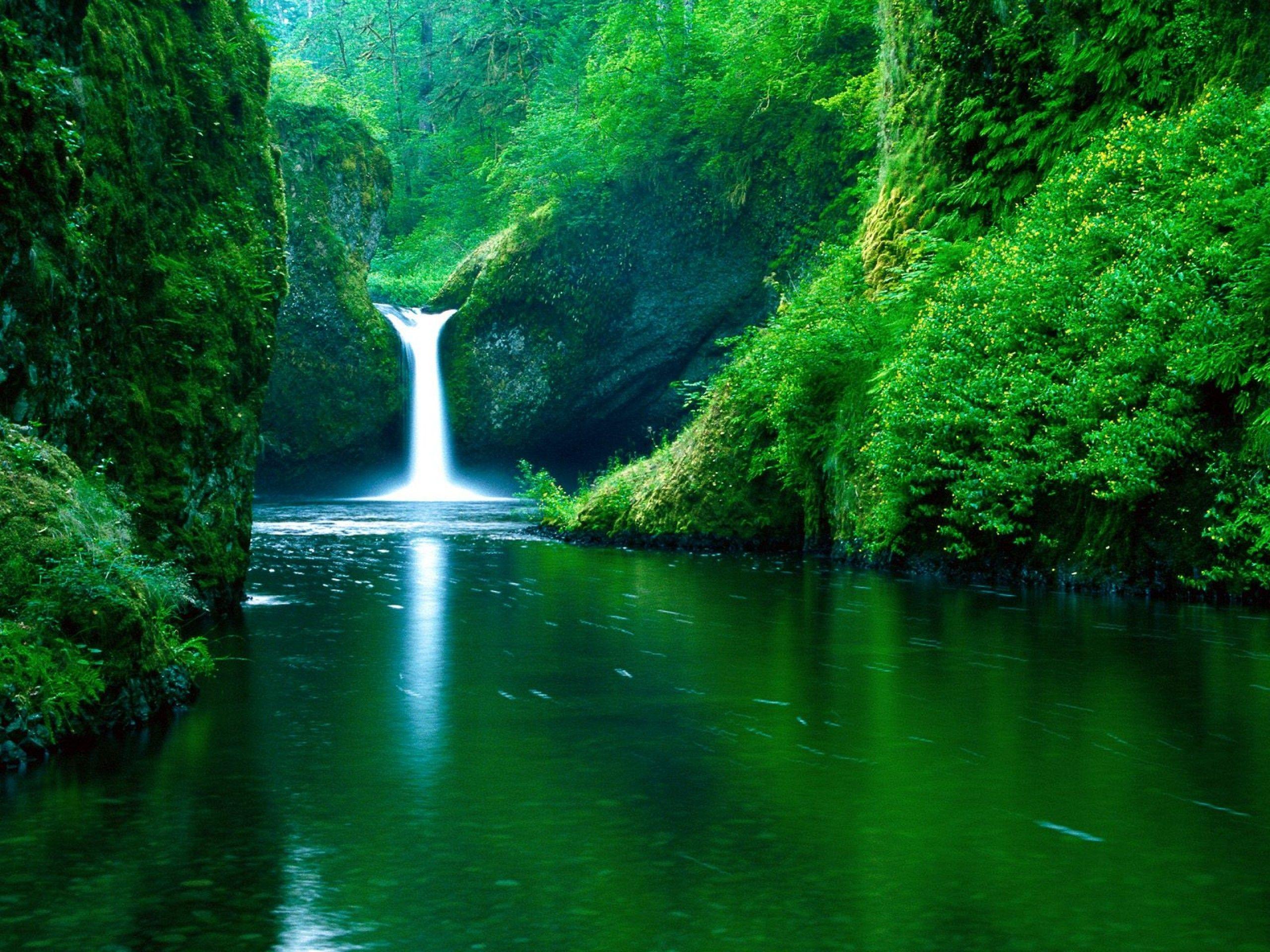 Green Nature Water Wallpapers - Top Free Green Nature Water Backgrounds -  WallpaperAccess