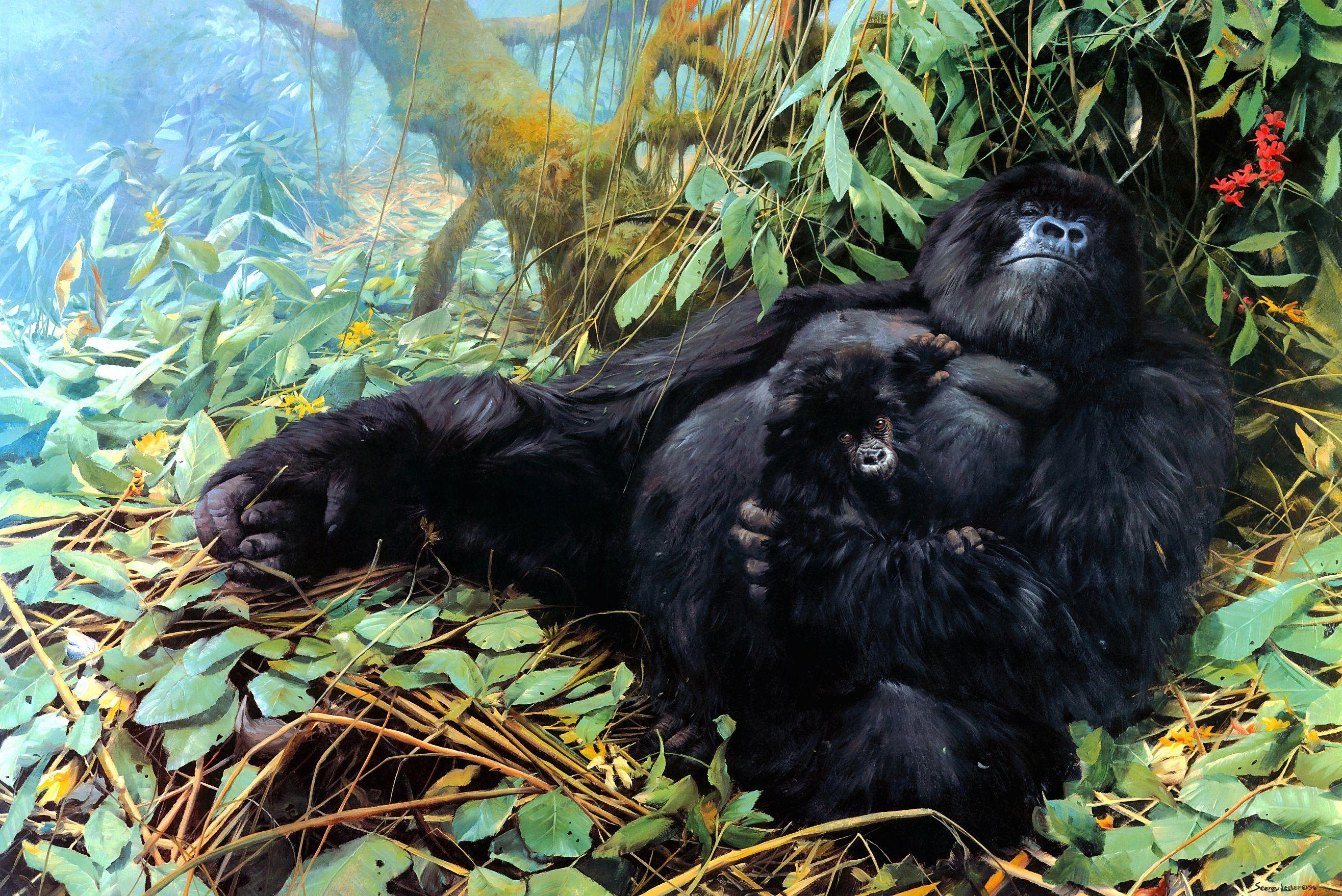 2631x1757 Artistic Baby Animal Gorilla Monkey Painting Wildlife Wallpaper:2631x1757