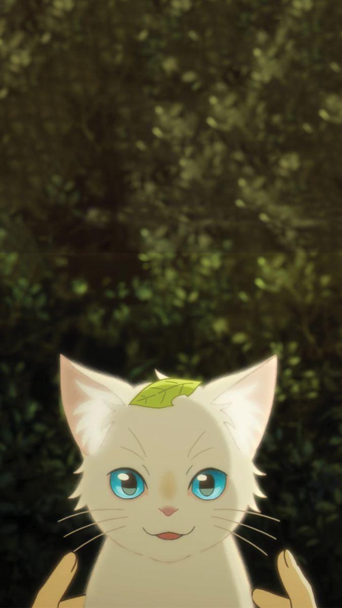 675x1200 Cat anime wallpaper. Anime wallpaper, Anime cat, Anime films