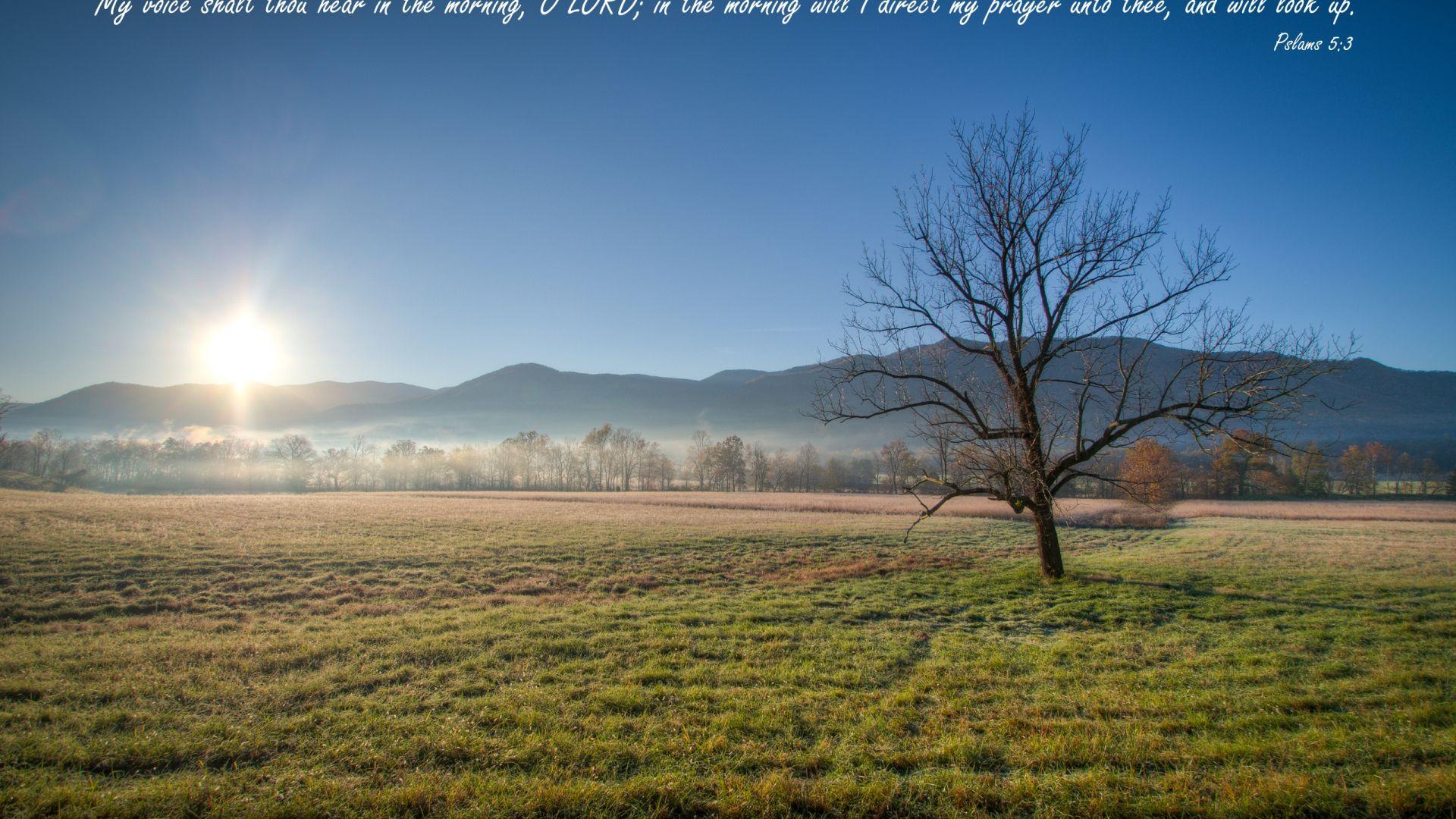 1920x1080 Free download Psalms 53 My voice Wallpaper Christian Wallpaper and Background [2560x1681] for your Desktop, Mobile & Tablet. Explore Cades Cove Desktop Wallpaper. Smoky Mountain Wallpaper Free, Smoky Mountains Spring Wallpaper