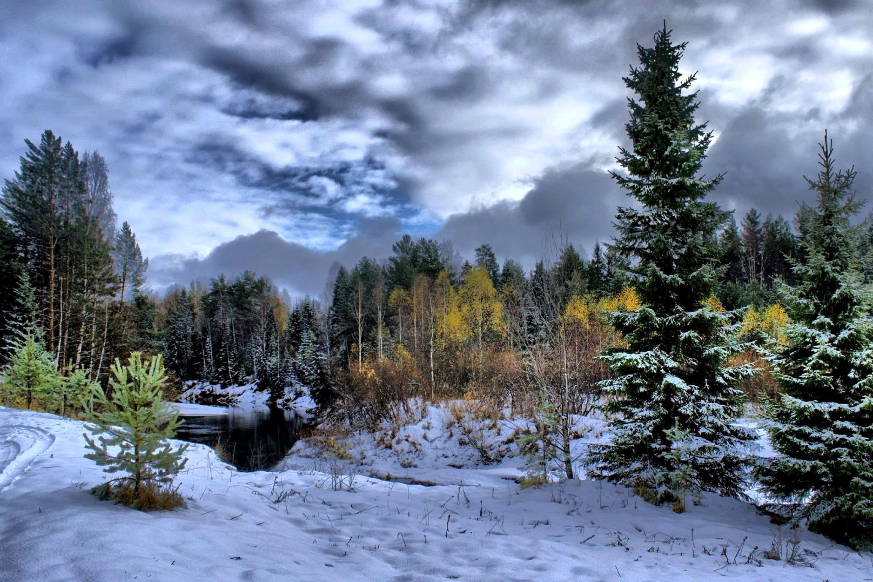 Boreal Forest Wallpapers Top Free Boreal Forest Backgrounds Boreal Forest Wallpapers Top Free Boreal Forest Backgrounds