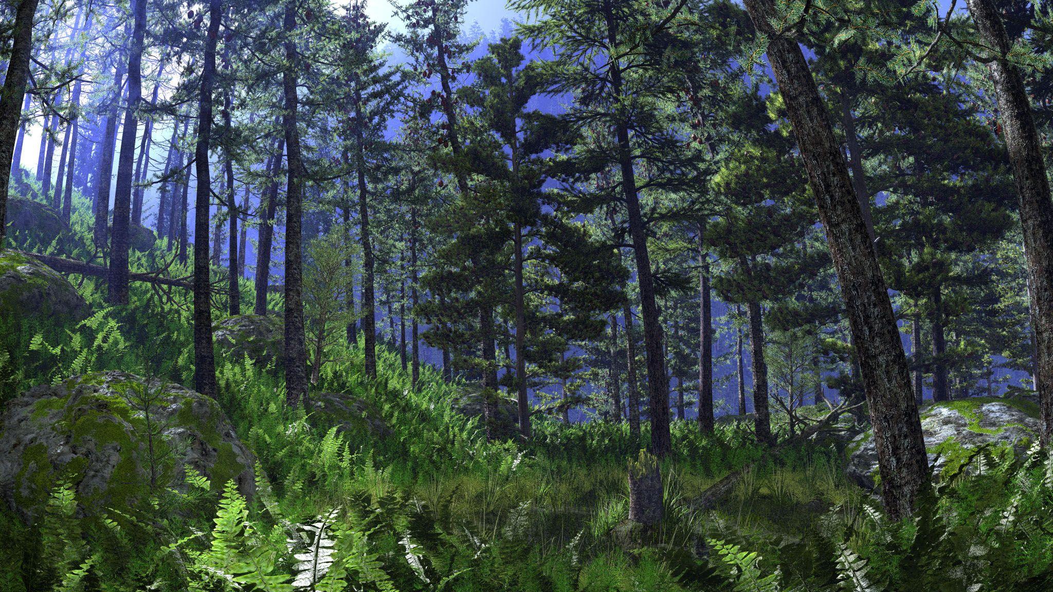 2048x1152 Taiga Forest Wallpaper