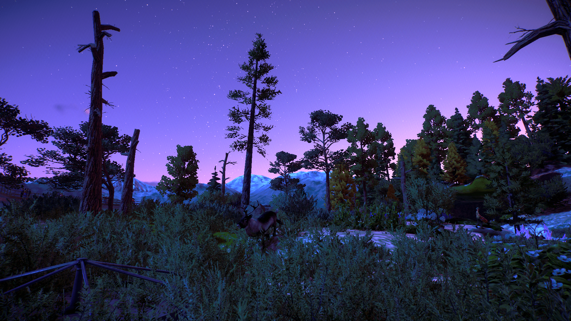 1920x1080 Love this snap of my boreal forest reindeer habitat :)