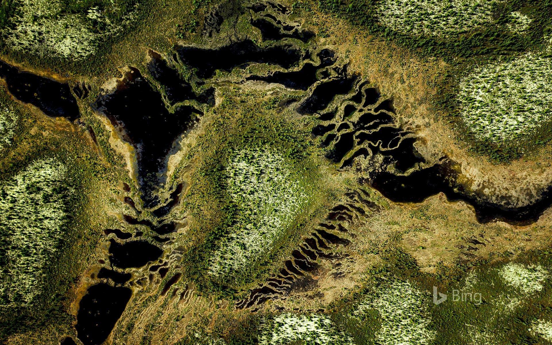 1920x1200 Boreal Forest At Trans Taiga Road Region In Northern Quebec