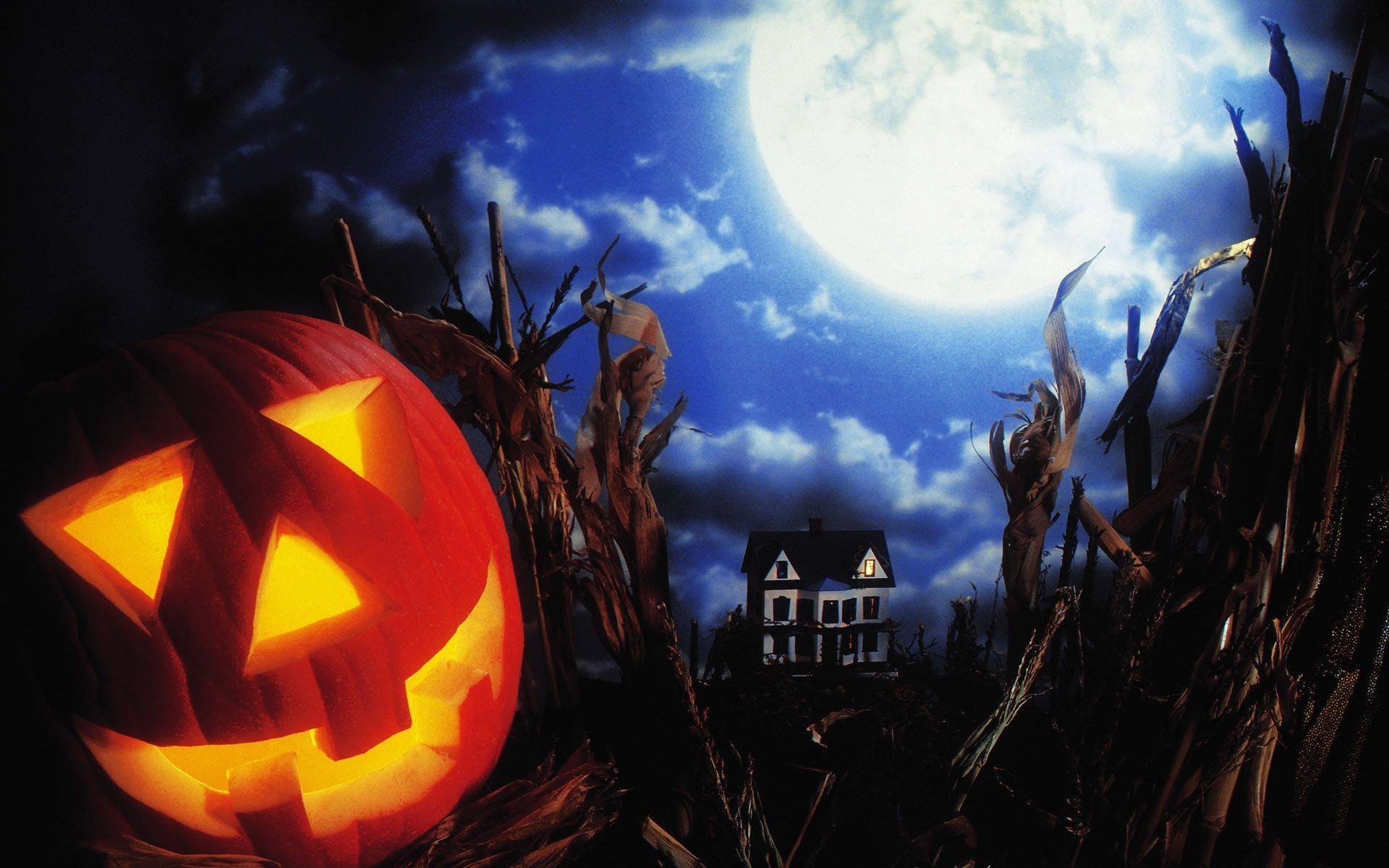 1920x1200 Trick Or Treat Wallpaper