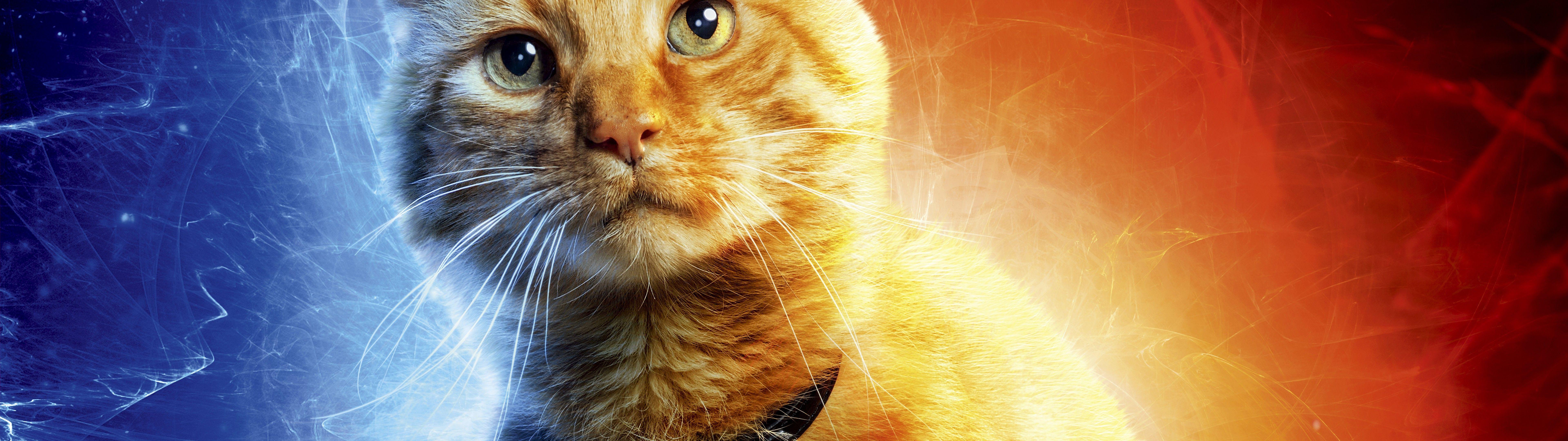 7680x2160 Captain Marvel, Movie, Goose The Cat, 8k, Captain Marvel
