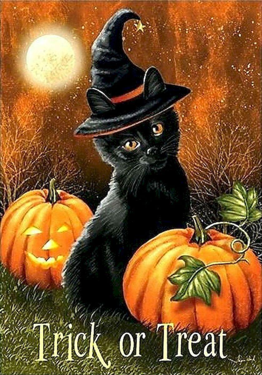 840x1200 Trick or Treat Wallpaper iPhone Free HD Wallpaper