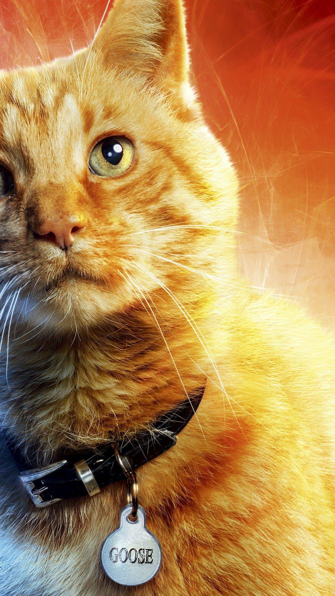 1080x1920 Captain Marvel, Movie, Goose the Cat, 8K phone HD Wallpaper, Image, Background, Photo and Picture
