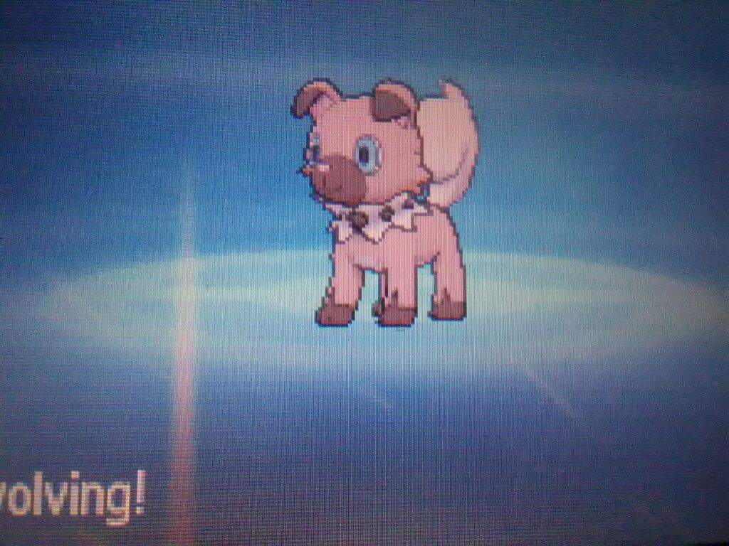 1024x768 Rockruff evolved into Lycanroc Dusk form! (Spoilers!). Pokémon Amino