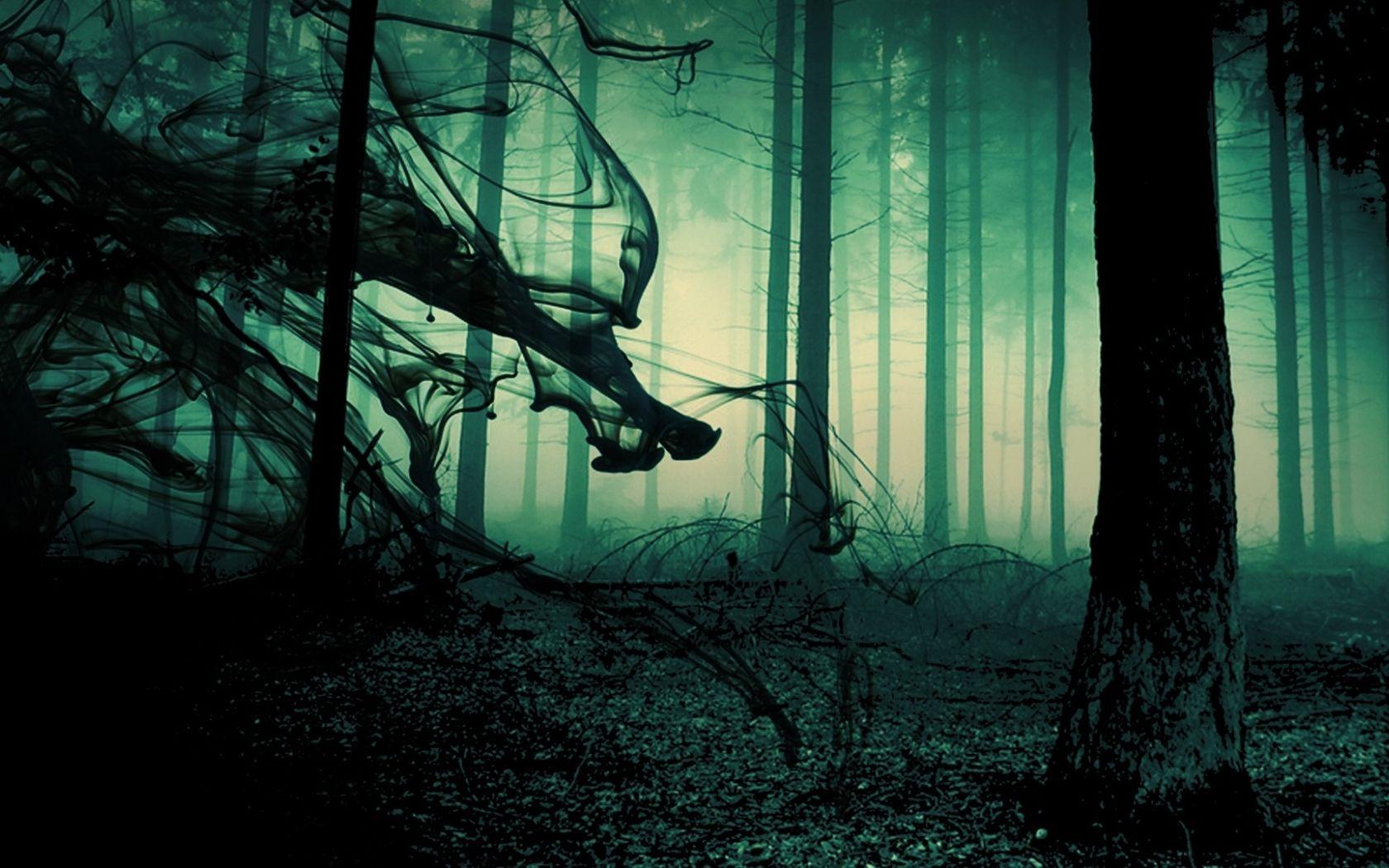 1680x1050 Free download forest fog mood sunlight moonlight light wallpaper 1920x1080 27846 [1920x1080] for your Desktop, Mobile & Tablet. Explore Scary Forest Wallpaper. Dark Forest Wallpaper, Creepy Forest Wallpaper, Scary Halloween HD Wallpaper