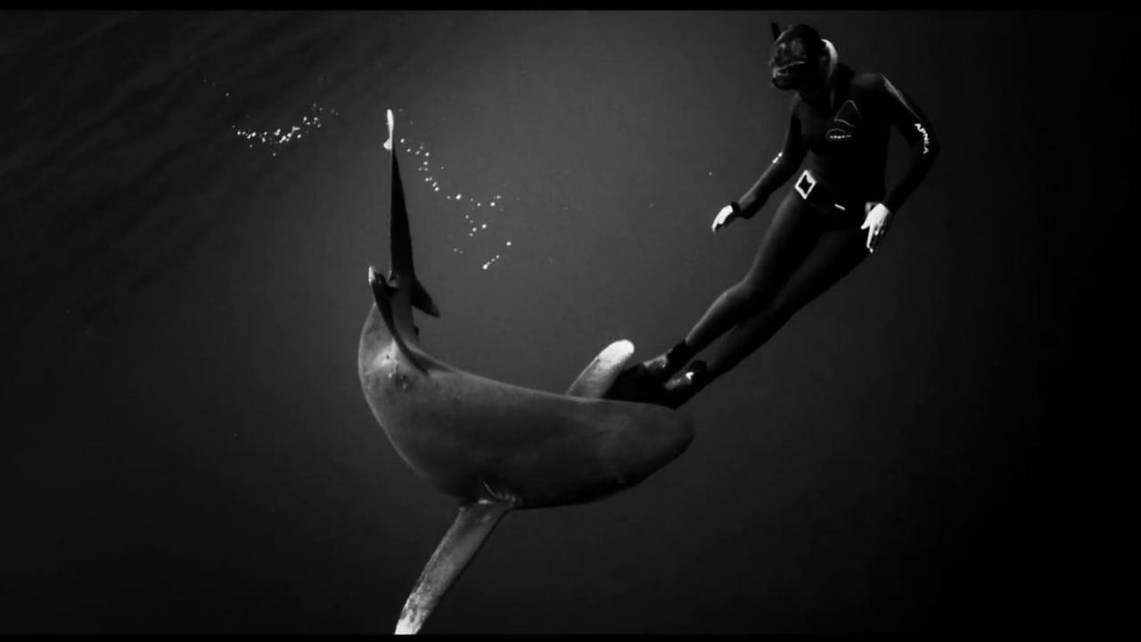1280x720 Shark black and white black swan on vimeo