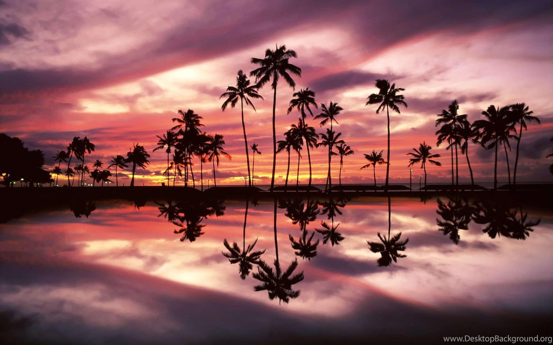 1920x1200 Palm Tree Pink Sunset Wallpaper Cool Wallpaper 7ual.com_ Desktop Background