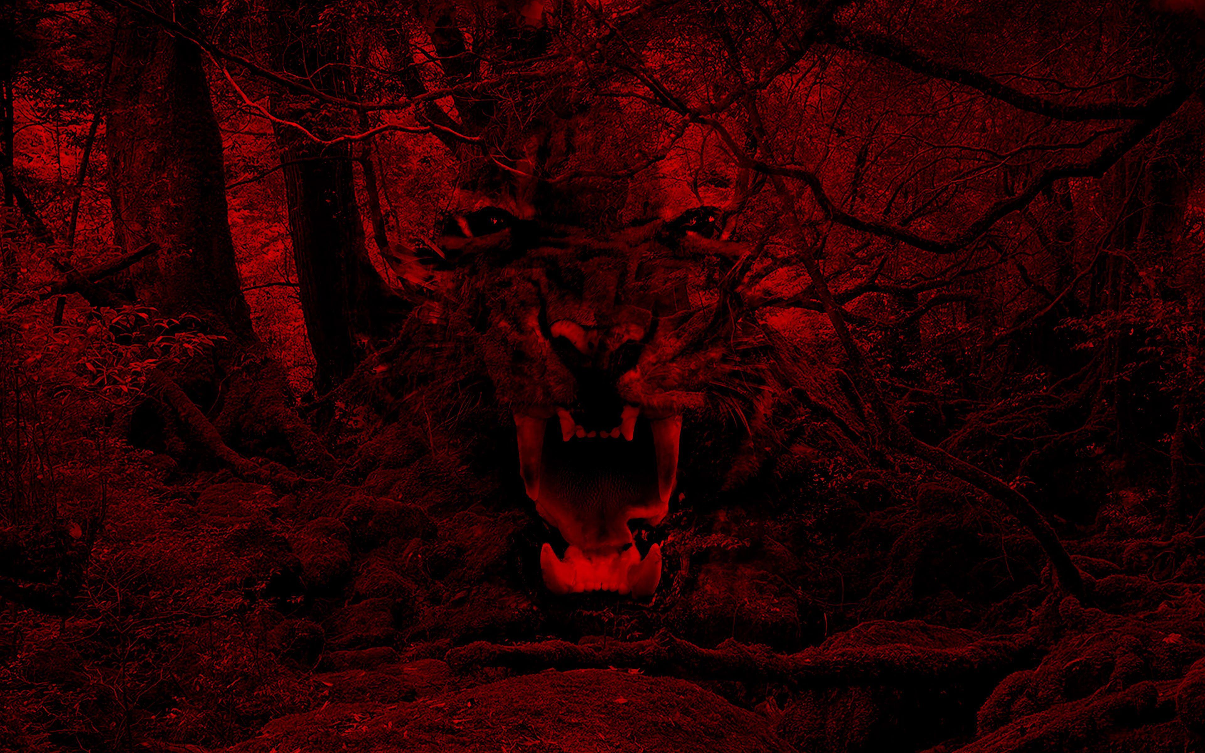 Red Tiger Wallpapers Top Free Red Tiger Backgrounds WallpaperAccess