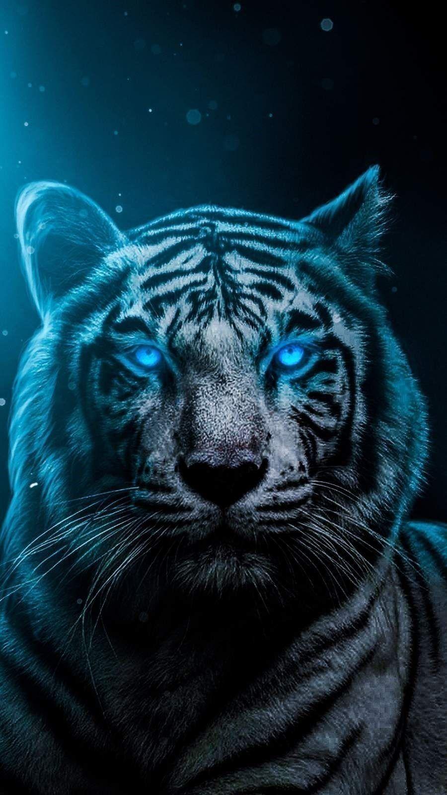 900x1600 Blue eyes Tiger Wallpaper Download Resolution 4K Wallpaper