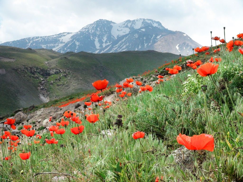 1024x768 Ardabil Mountains