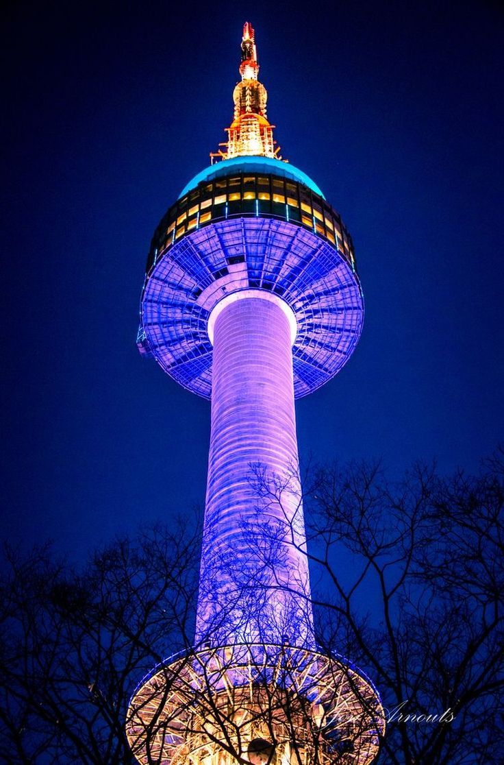 736x1116 Seoul n tower art. N seoul tower at night, South korea seoul