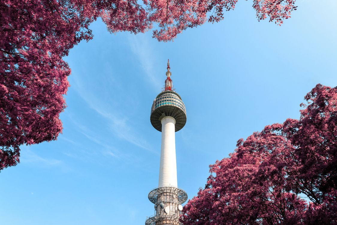 1125x750 Low Angle Photo Of N Seoul Tower · Free