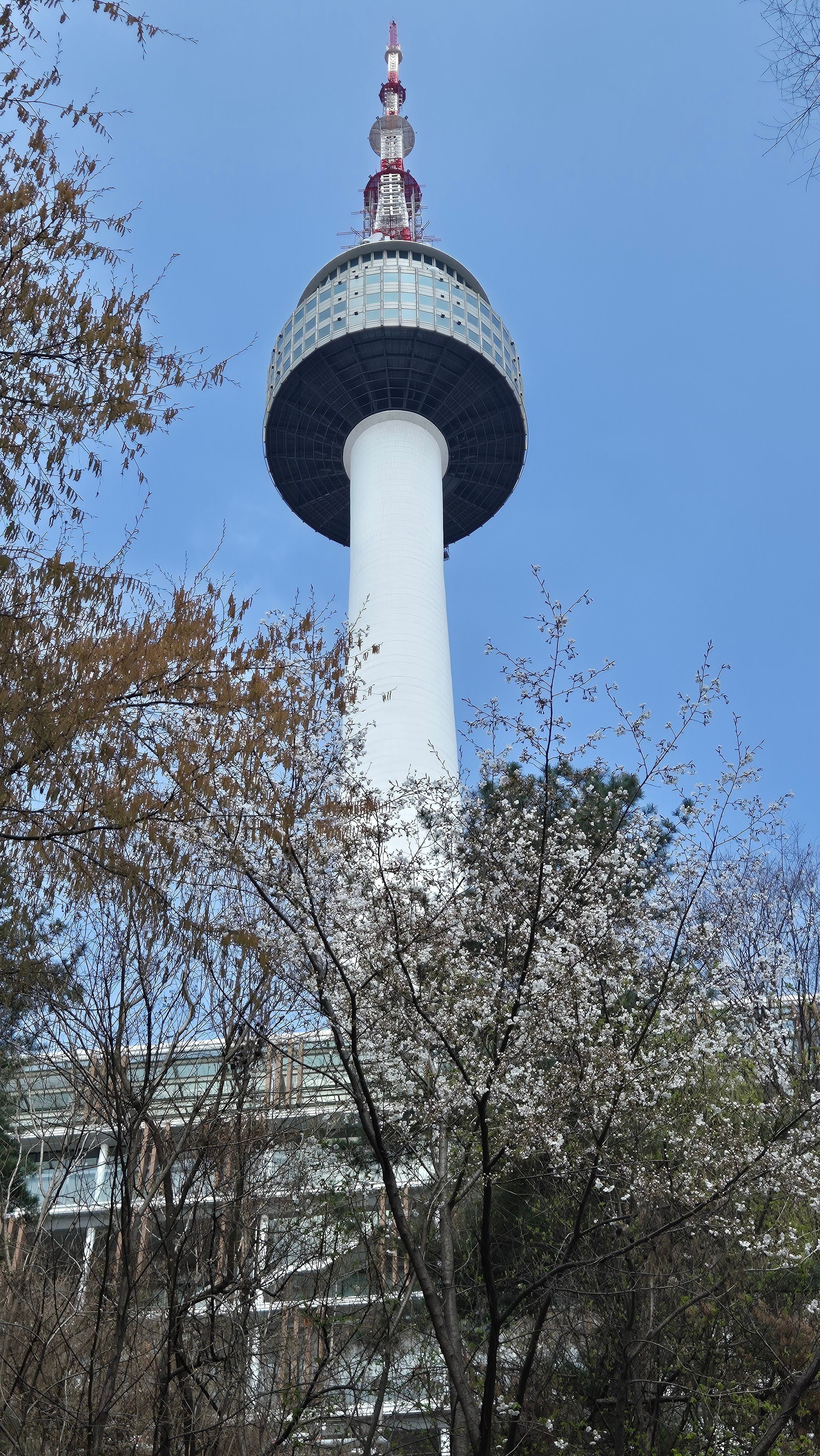 2252x4000 N Seoul Tower Photo, Download The BEST Free N Seoul Tower & HD Image