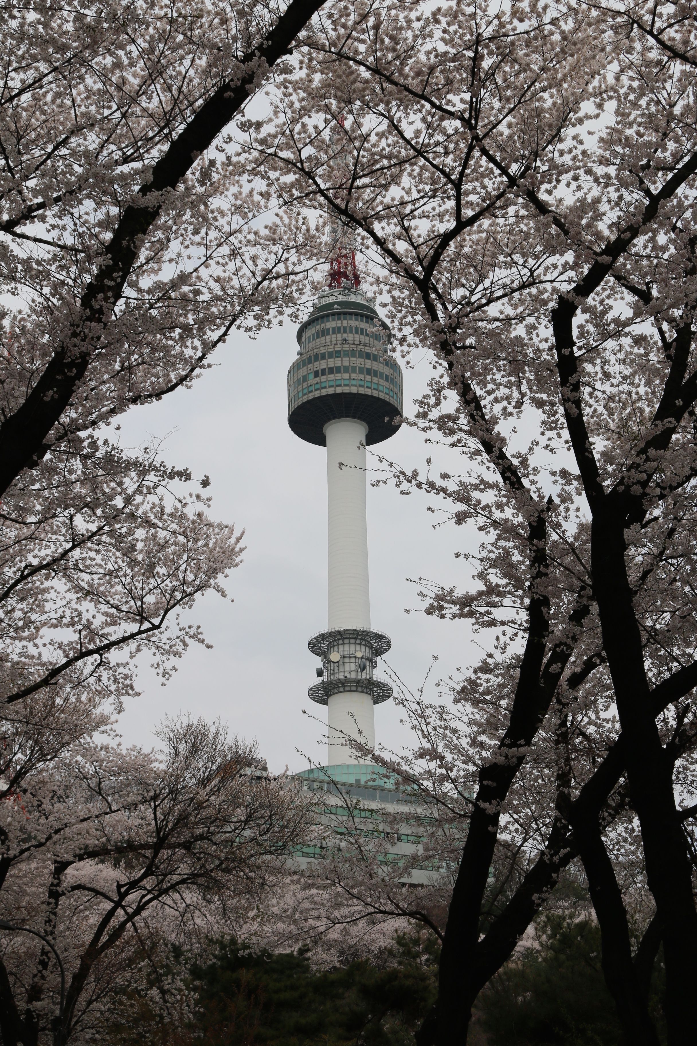 2432x3648 N Seoul Tower