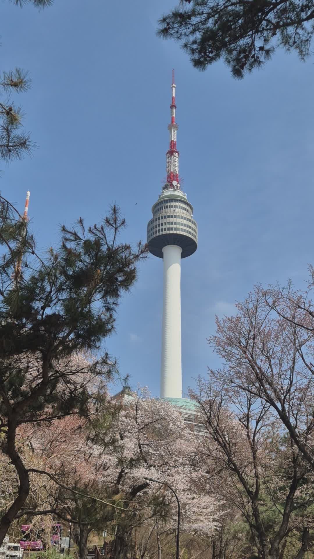 1080x1920 N Seoul Tower Amidst Spring Bloom