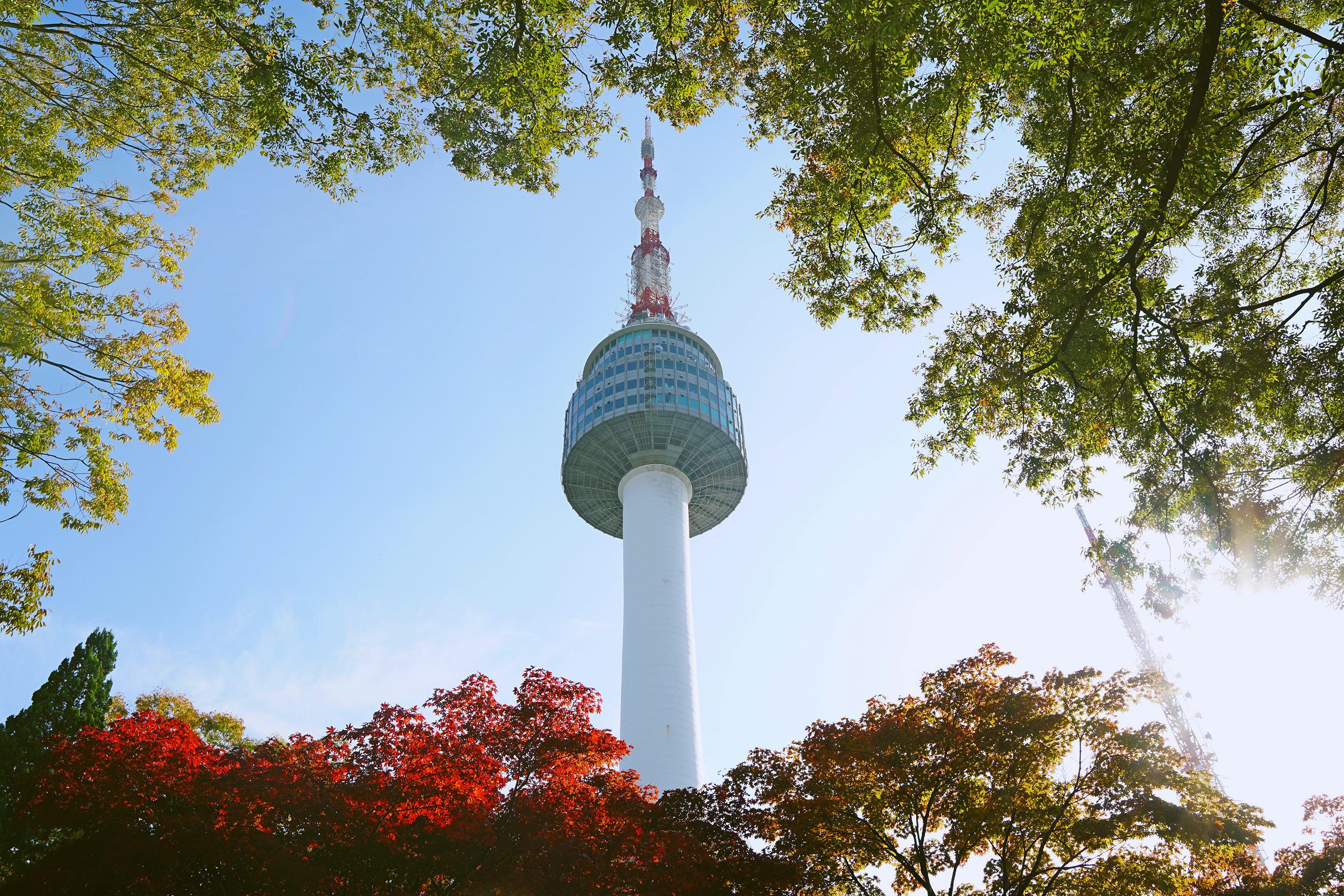 3000x2000 Seoul Tower Picture. Download Free Image