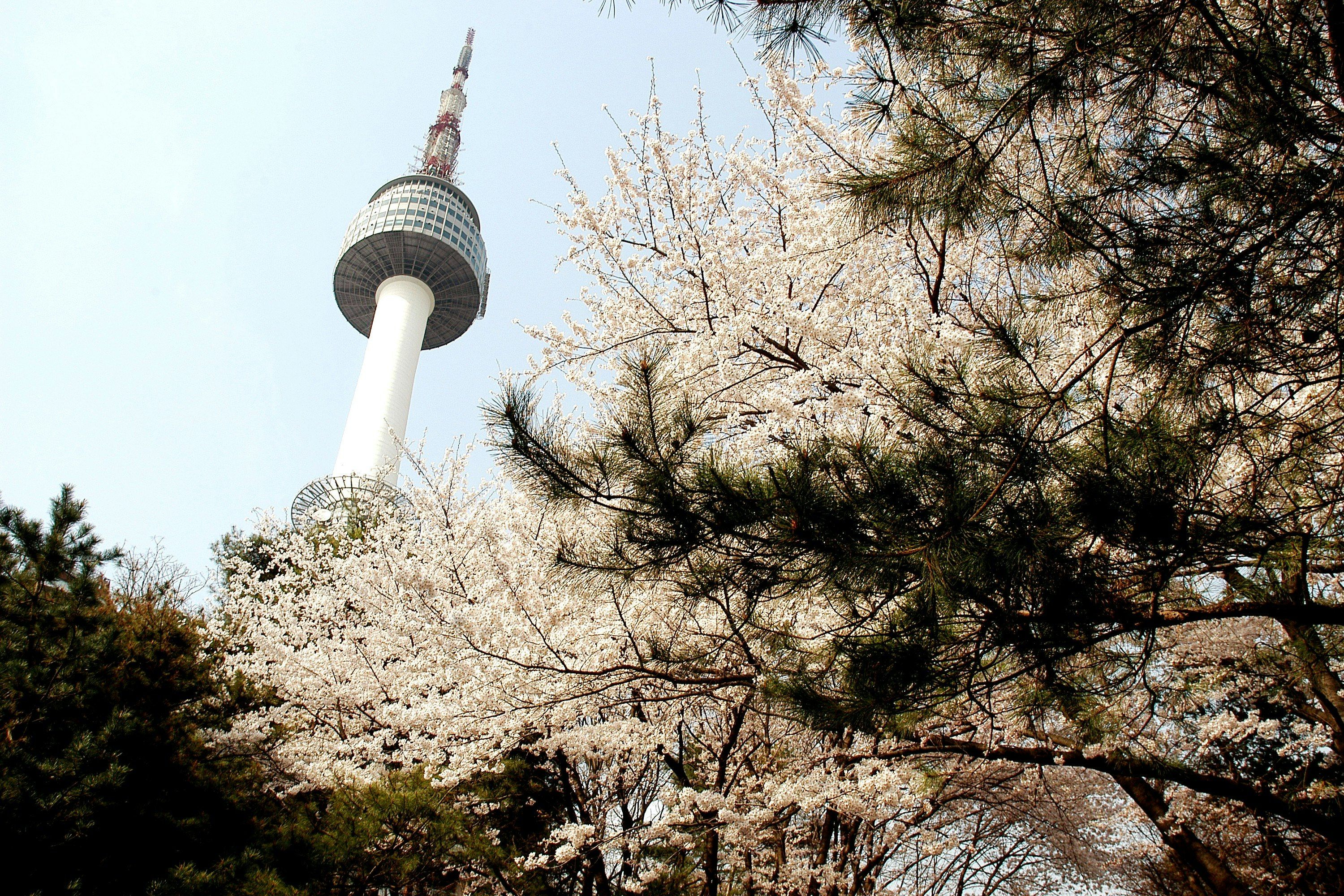 3000x2000 N Seoul Tower. Book Tickets, Tours & More