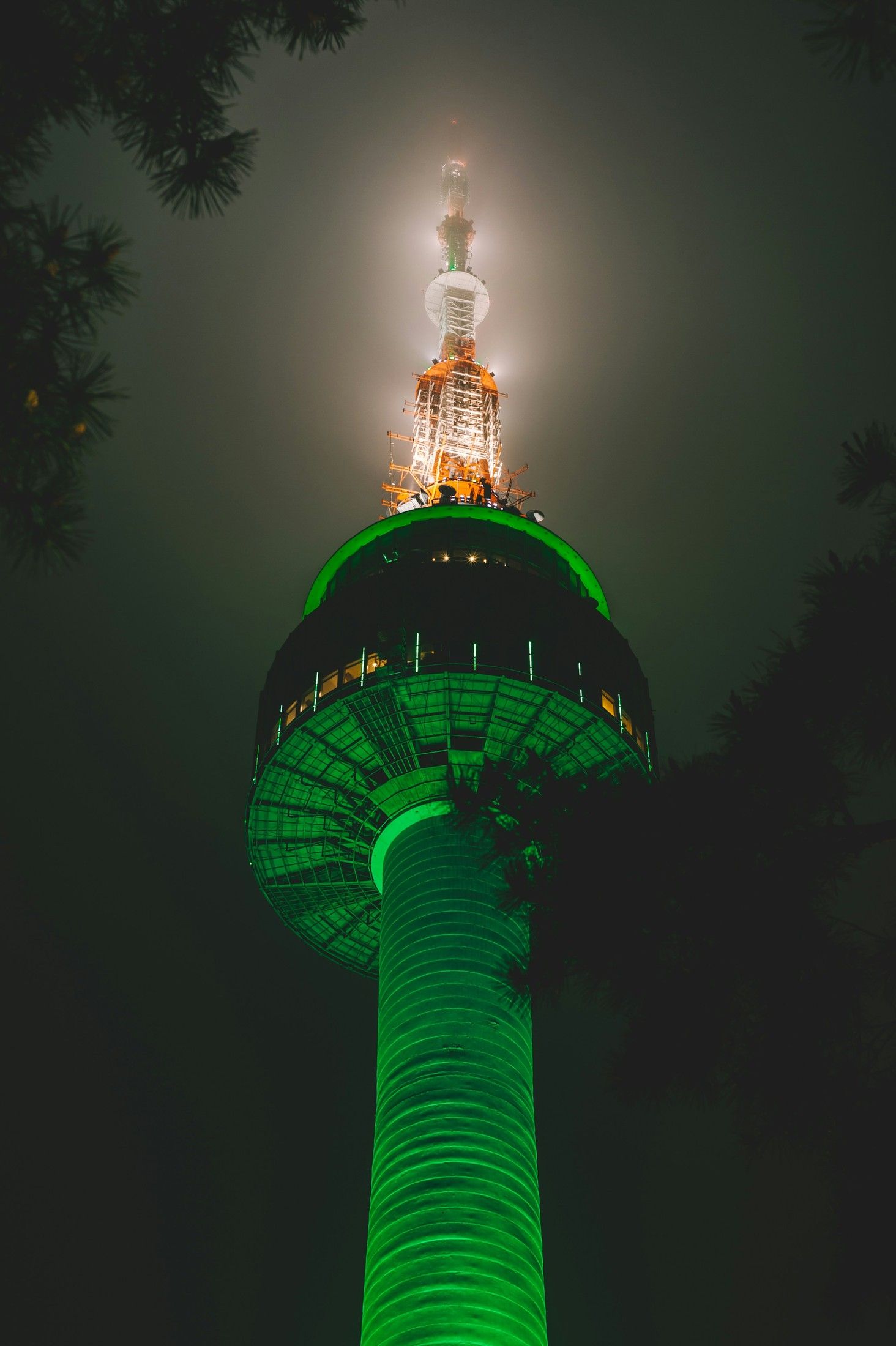1464x2200 N Seoul Tower's skyline whisperer