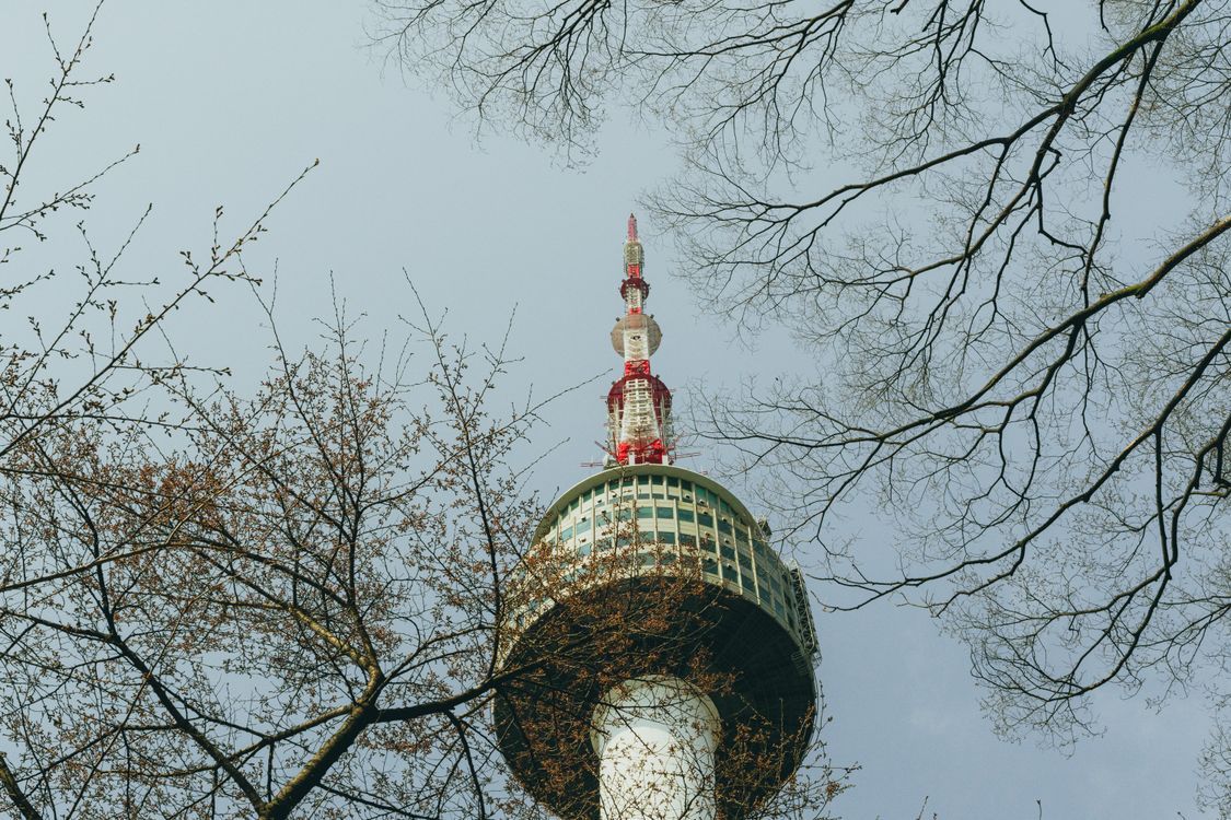 1125x750 Namsan Seoul Tower Among Cherry Blossoms in Spring · Free