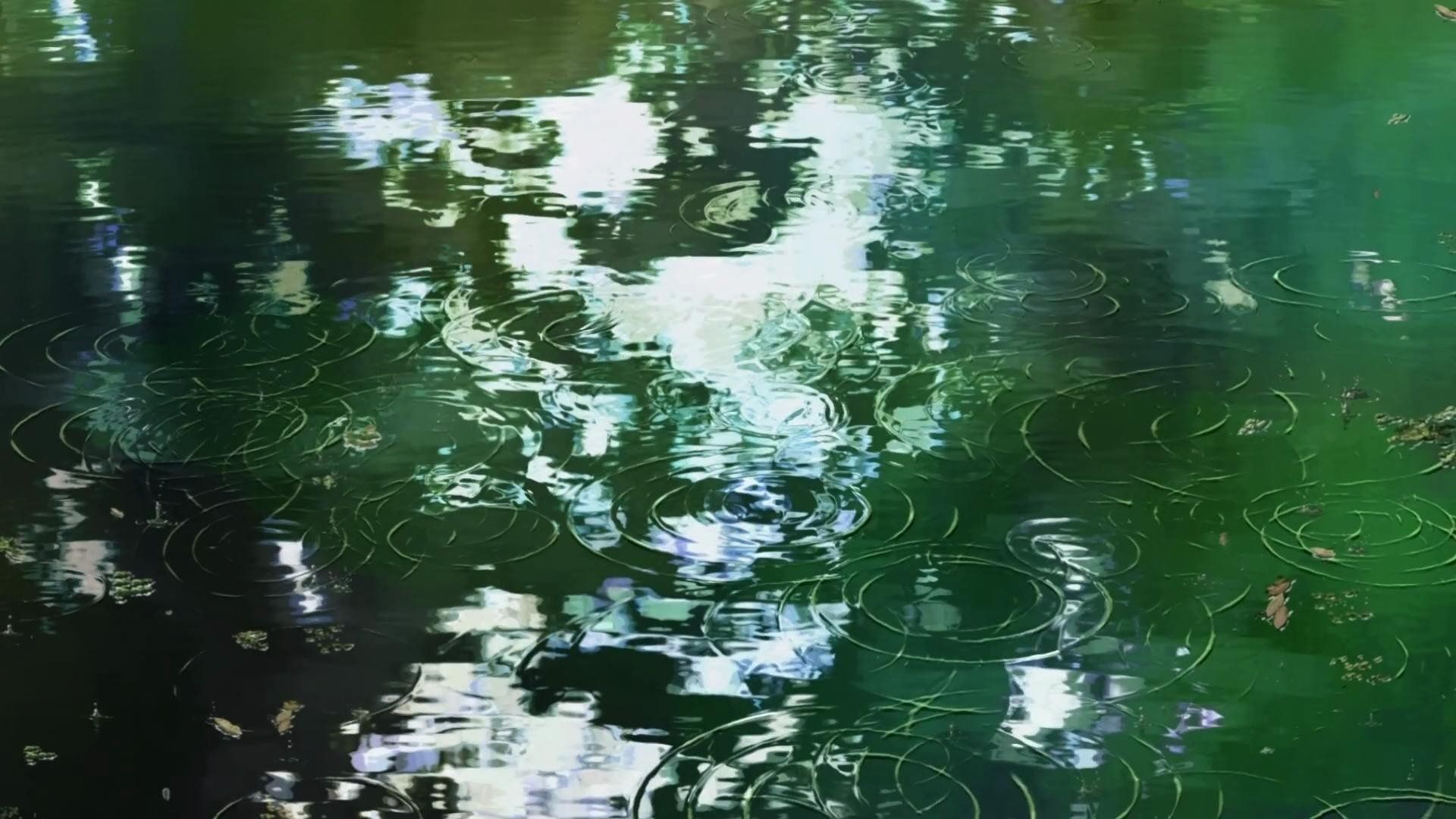 1920x1080 water, Makoto, Shinkai, Ripples, Anime, The, Garden, Of, Words Wallpaper HD / Desktop and Mobile Background