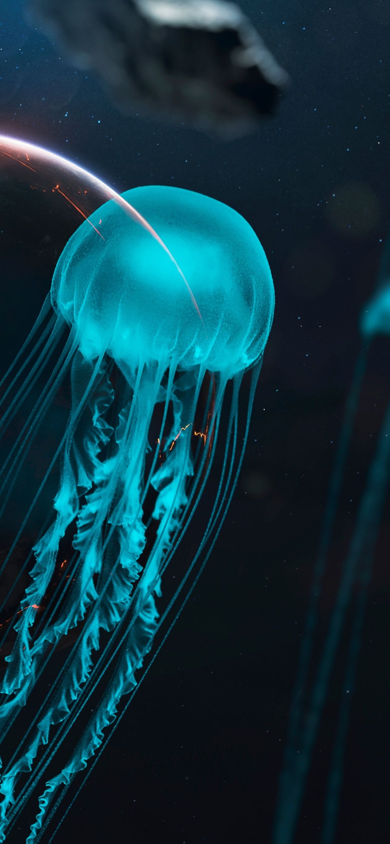 1284x2778 Planet Outer Space Jellyfish Asteroids Cosmos Astronomy