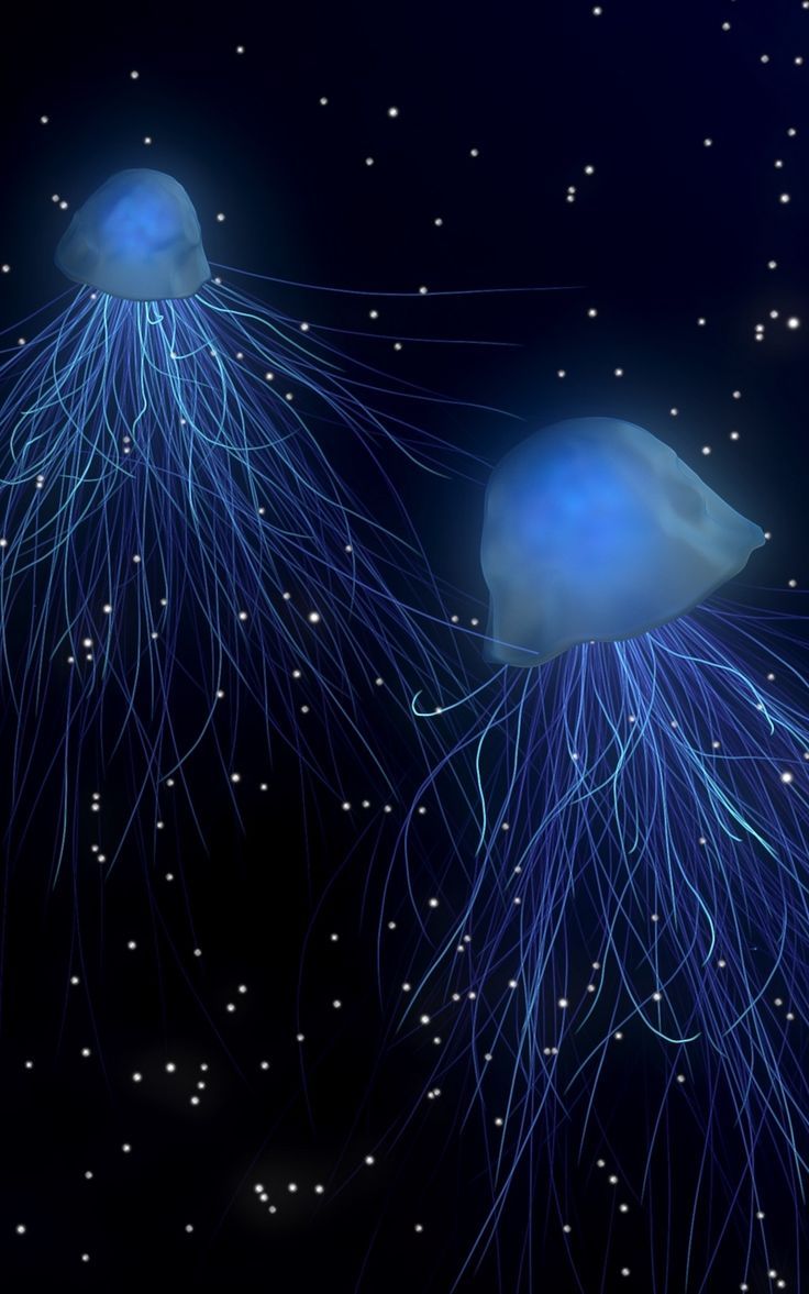 736x1177 Wallpaper jellyfish space underwater world abstract