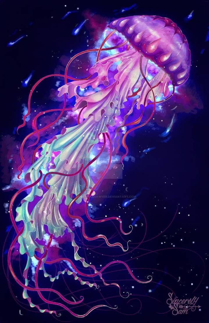 719x1111 Space Jelly
