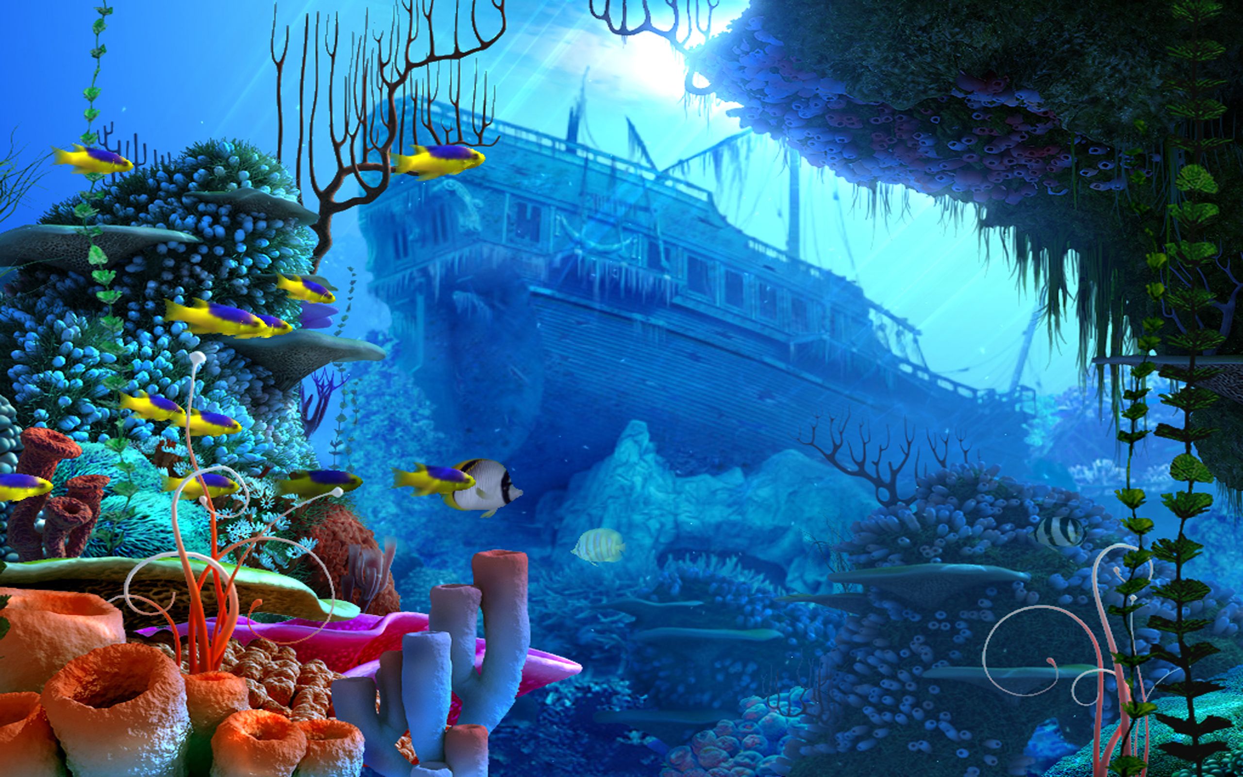 2560x1600 Underwater Paradise: HD Fish Wallpaperx1600