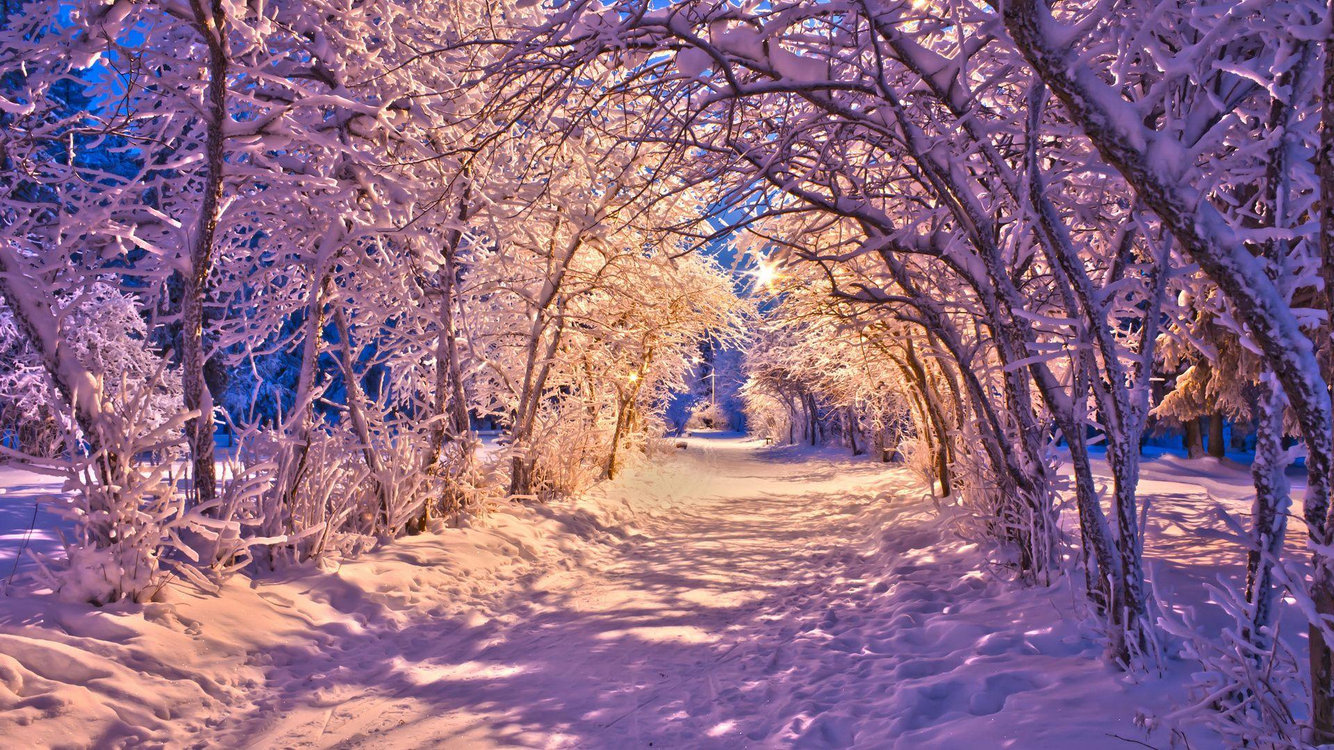 1920x1080 Winter Computer Background HD