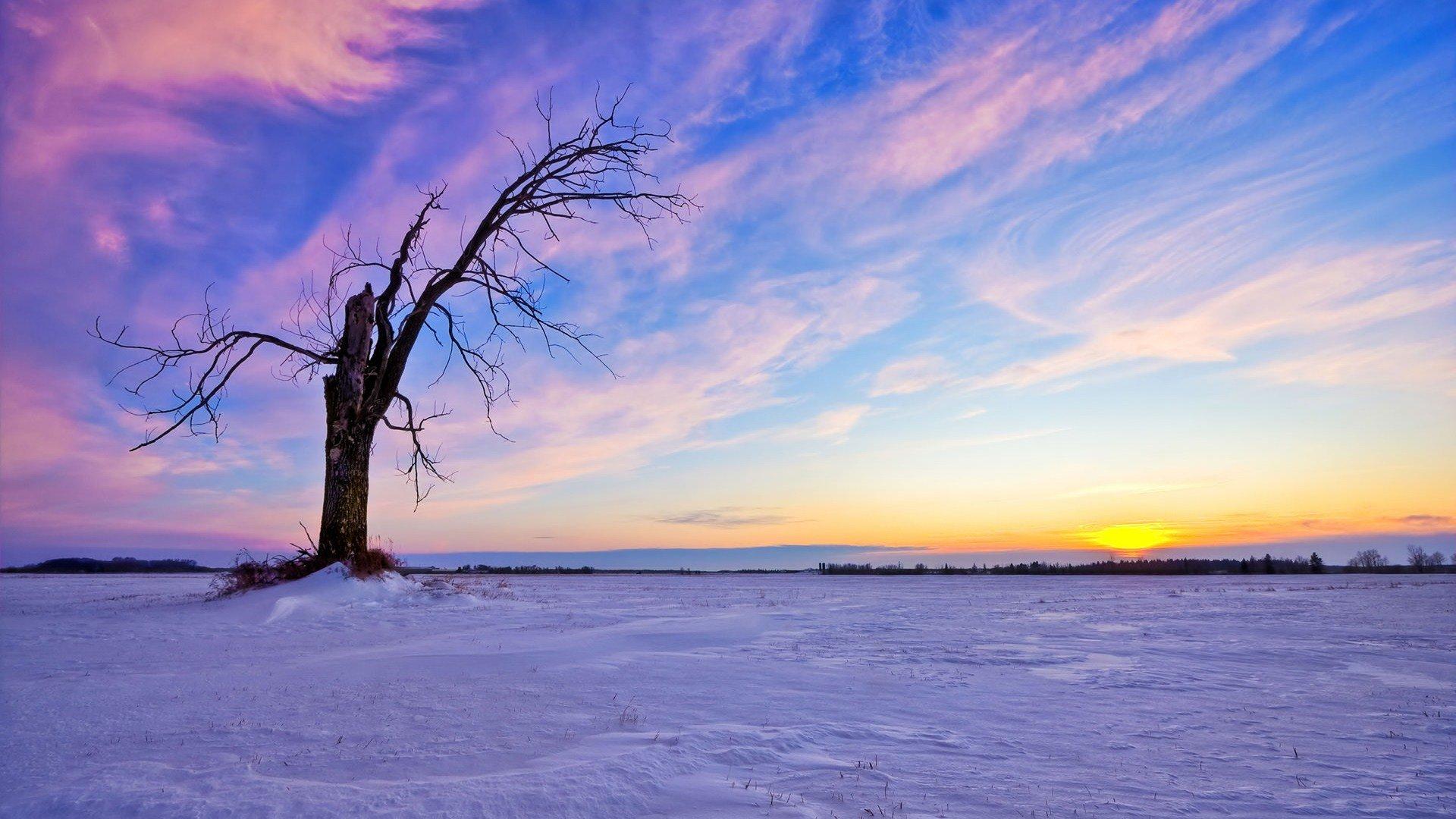 1920x1080 High resolution Winter full HD 1080p wallpaper for desktop