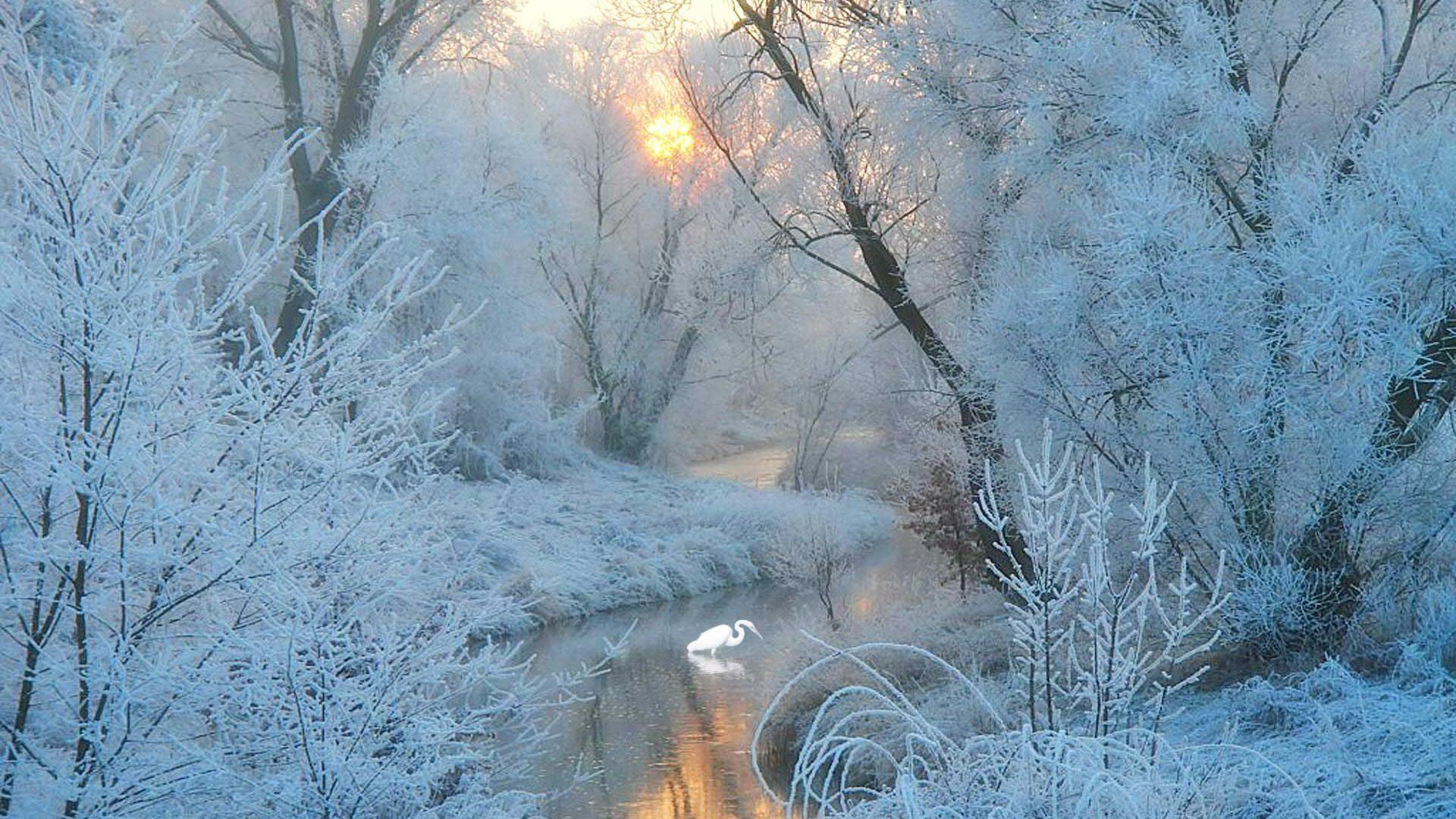 1920x1080 Desktop Wallpaper Winter