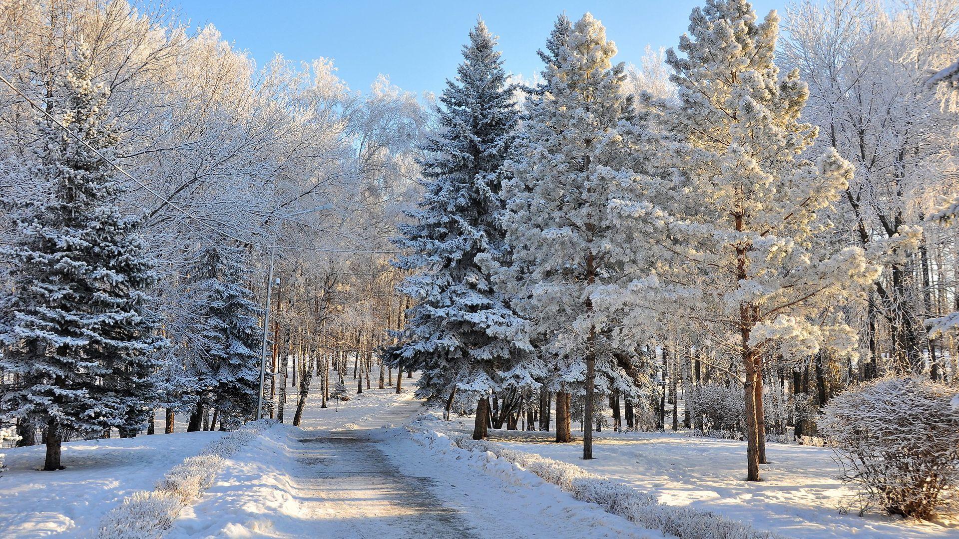 1920x1080 Winter Wonderland Desktop Background HD Wallpaper